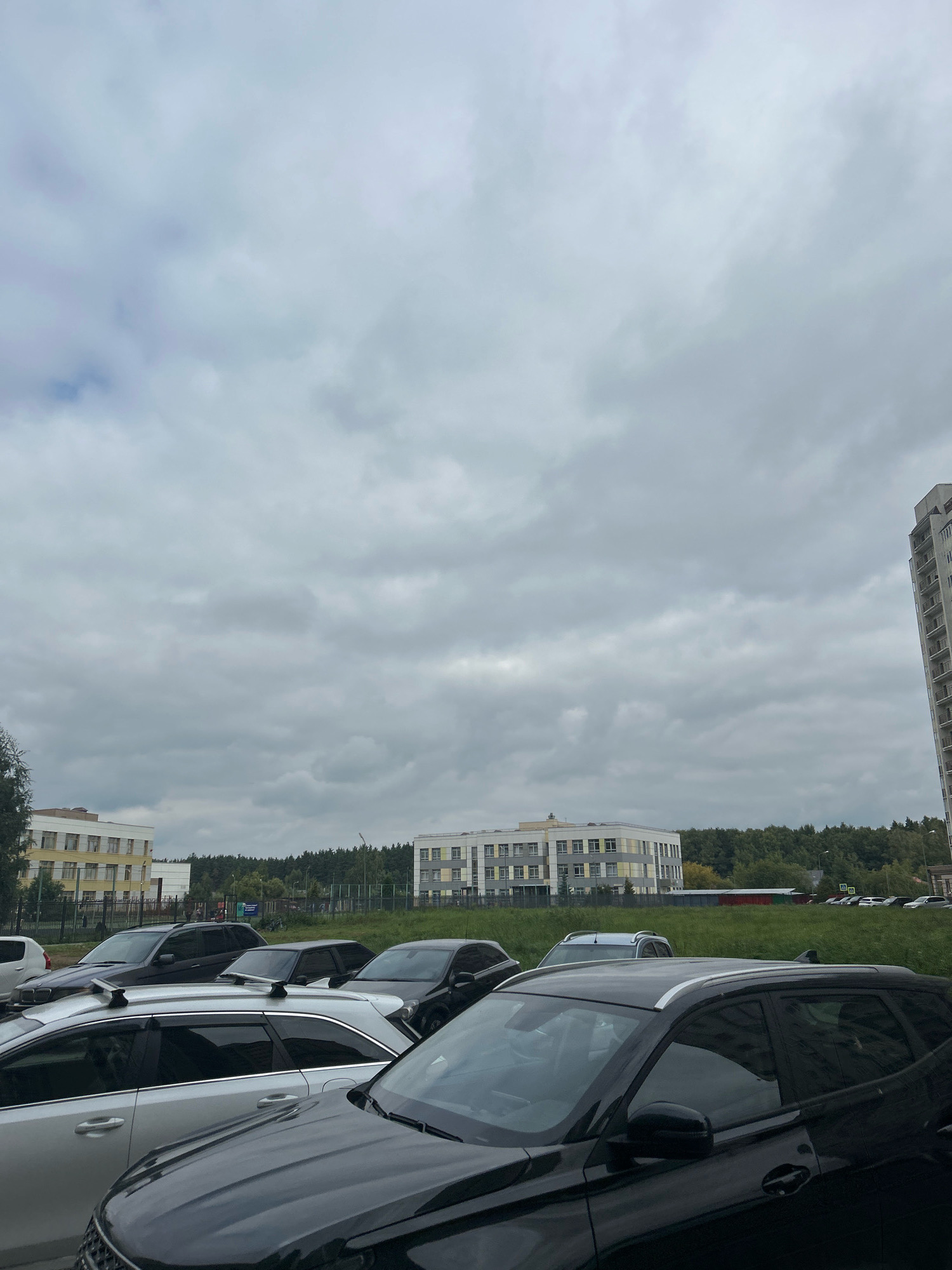 The image depicts an outdoor scene in Domodedovo, Russia, under an overcast sky. In the foreground, several cars are parked, with the front portion of a black SUV being most prominent. The SUV has a silver roof rack. Behind it, a white sedan with a silver roof rack is visible, followed by other cars including a dark gray sedan and a dark SUV. In the mid-ground, a low-rise building with a white and yellow facade and numerous windows is situated. To the right of this building, another similar building with a white and gray facade is visible. Beyond these buildings, a dense line of green trees forms a backdrop, suggesting a wooded area. In the far right of the image, a tall, modern residential building with balconies is partially visible. The ground in the mid-ground is covered with green grass. The overall impression is of a residential area with apartment buildings and surrounding greenery.