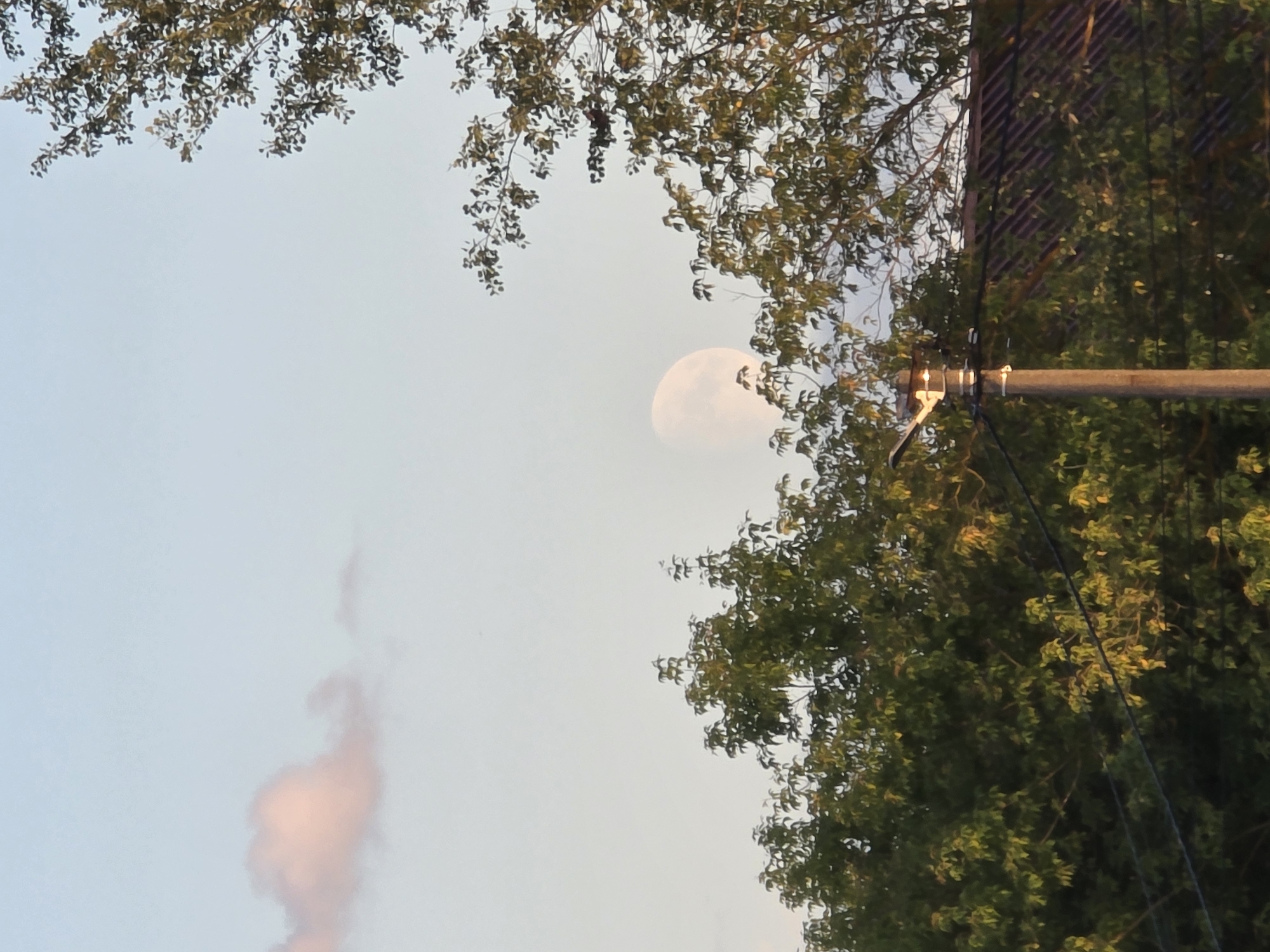 A partial view of the moon is visible in a pale blue sky, partially obscured by the branches of several green trees. A single, light-colored cloud is present in the upper left portion of the frame. In the foreground, a concrete utility pole with a lamp attached stands near a dark roof of a building. Power lines are strung between trees and the pole. The scene appears to be set in Rechitsy, Russia, during twilight. There are no people or animals in the image.