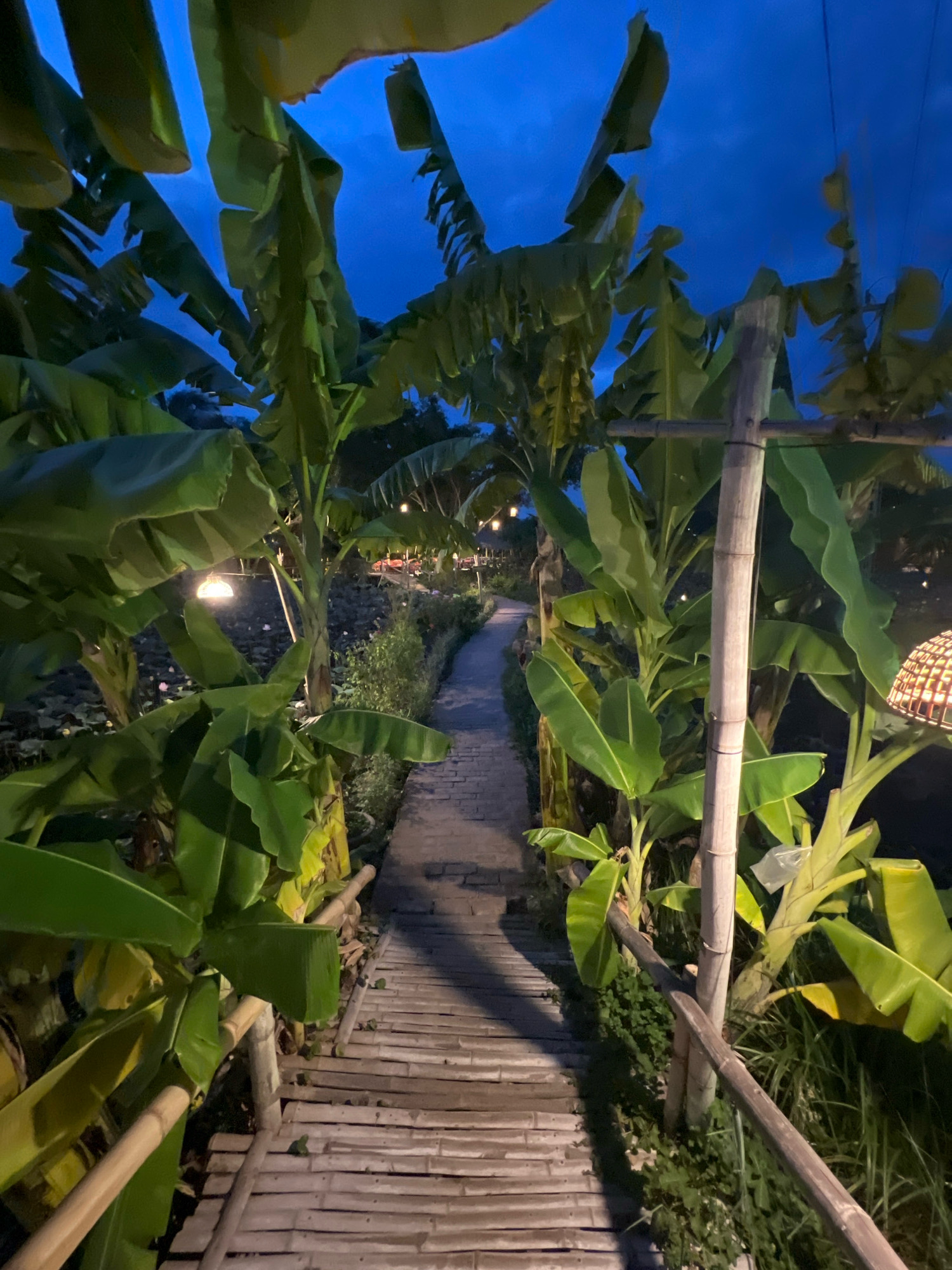 A pathway made of bamboo and brick winds through a lush garden with banana trees. The sky is a deep twilight blue. The pathway is illuminated by soft, diffused lights, one of which appears to be a dome-shaped lantern hanging from a bamboo pole. The garden borders a body of water, possibly a pond or lake, which reflects the lights. A woven lamp shade is visible in the foreground. The scene appears to be a tranquil evening setting in a botanical garden or a resort.