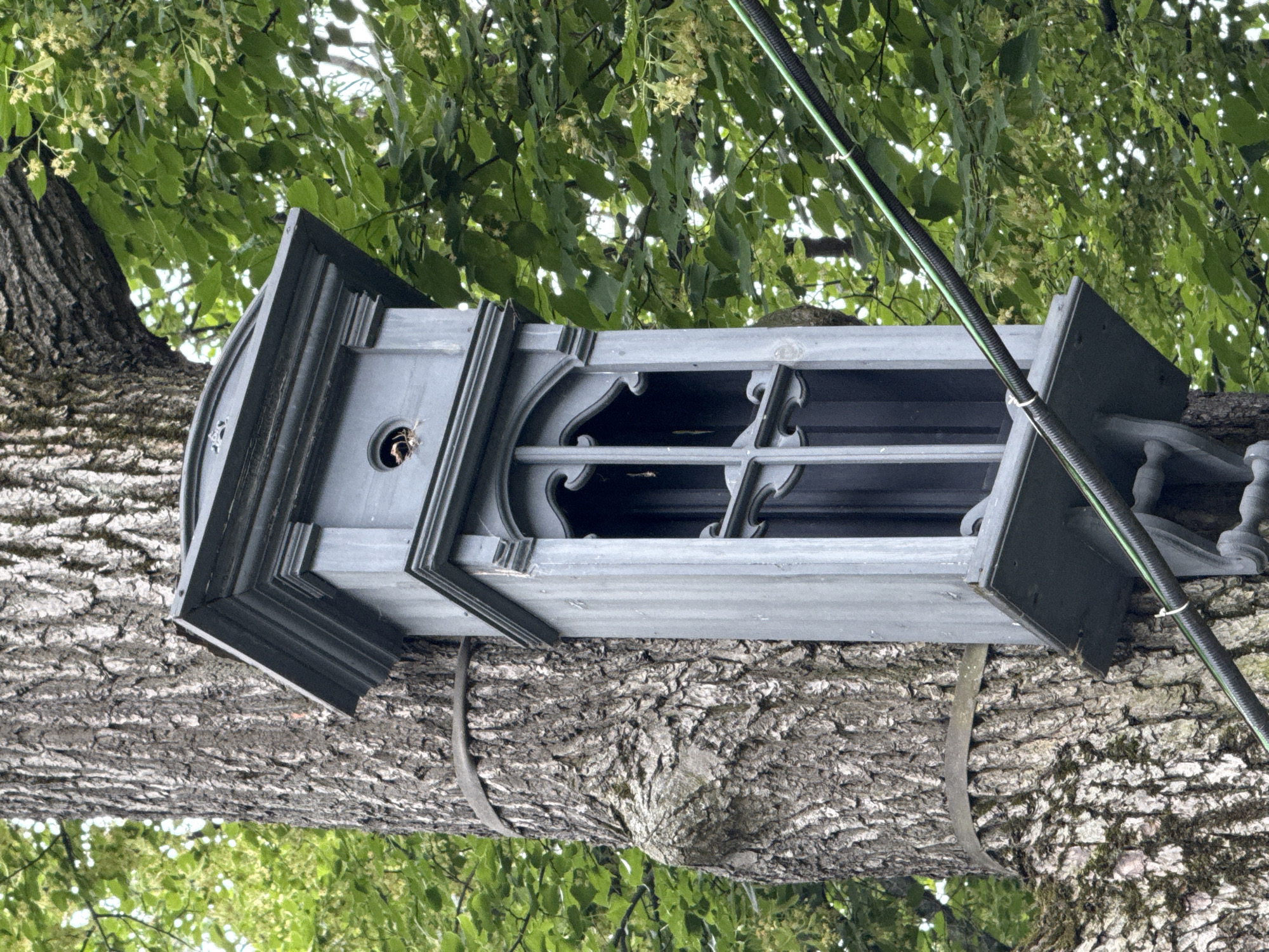 A grey, ornate wooden birdhouse is attached to a large tree trunk in a wooded area. The birdhouse has a decorative, multi-layered roof and a tall, narrow body with a window-like opening featuring intricate latticework. A small, round hole is visible near the top of the birdhouse, possibly an entrance or ventilation. The tree has rough, textured bark and is surrounded by lush green foliage. A black cable with a green stripe runs horizontally across the lower portion of the image, secured by a white zip tie to the birdhouse's mounting bracket. The scene appears to be outdoors, suggesting a park or natural setting within the city of Moscow, Russia.