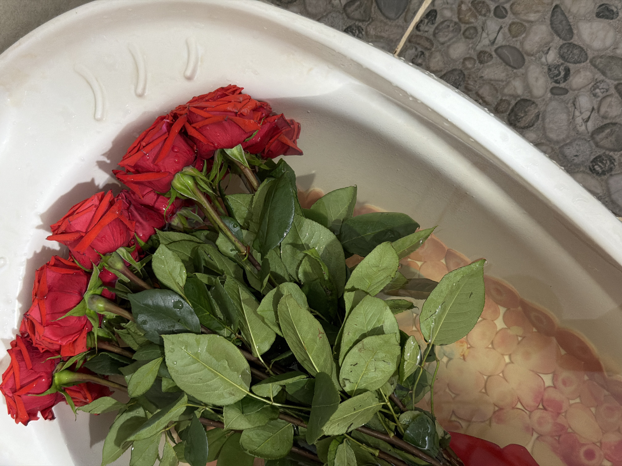 A bunch of red roses with green leaves are lying in a white bathtub filled with water. The bathtub is located in a room with stone-patterned wall tiles. The location is presumed to be in Chaikovsky, Russia.