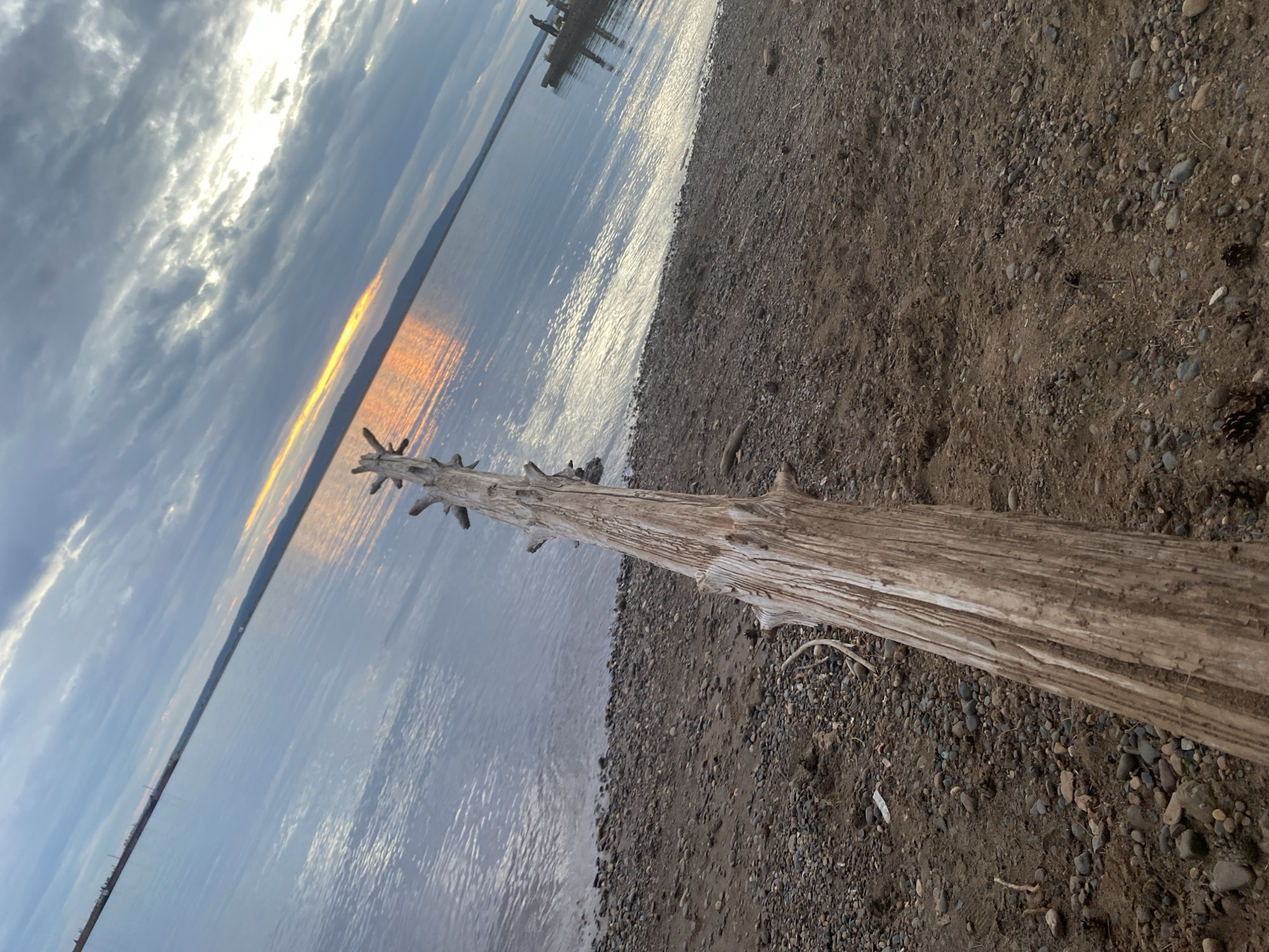 The image shows a shoreline scene at what appears to be a body of water, possibly a river or lake. In the foreground, a weathered, light-colored log lies diagonally across the frame, extending from the bottom left towards the upper right. The log is textured with visible grain and has several branch stubs protruding from it. The ground immediately surrounding the log is a mixture of sand and small pebbles.
Beyond the shoreline, the water stretches out, reflecting the sky. The sky is partly cloudy, with dramatic grey clouds interspersed with patches of brighter sky where the sun appears to be setting, casting an orange and yellow glow on the water's surface. In the distance, a faint shoreline or landmass is visible, with some structures or industrial elements along its edge. To the right of the frame, a small dock or pier extends into the water, with two silhouetted figures standing on it. The overall lighting suggests it is either dawn or dusk. This scene is consistent with the appearance of the Kama River embankment in the city of Chaikovsky, Russia, known for its industrial presence and scenic river views, particularly during sunset.