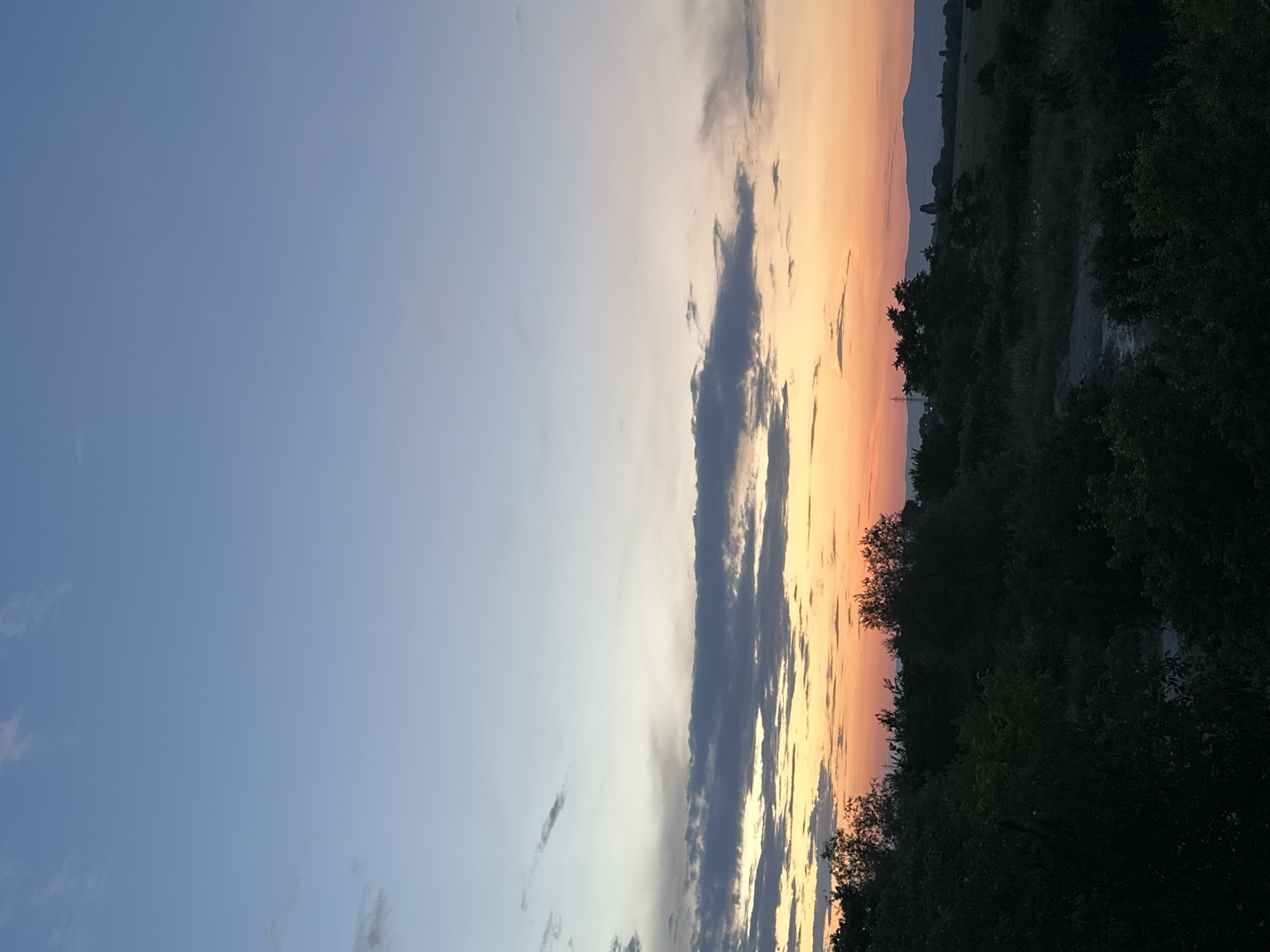 The image shows a sunset over a landscape, likely on the outskirts of Sofia, Bulgaria. The sky transitions from a pale blue at the top to a warm orange and pink hue near the horizon, with scattered clouds. In the foreground, dark silhouettes of trees and bushes dominate the lower half of the frame, suggesting a natural or semi-rural setting. In the distance, a gently sloping hill or mountain range is visible against the colorful sky. There are no people or discernible man-made structures, apart from what might be a distant power line tower. The overall impression is one of a peaceful, natural landscape at dusk.