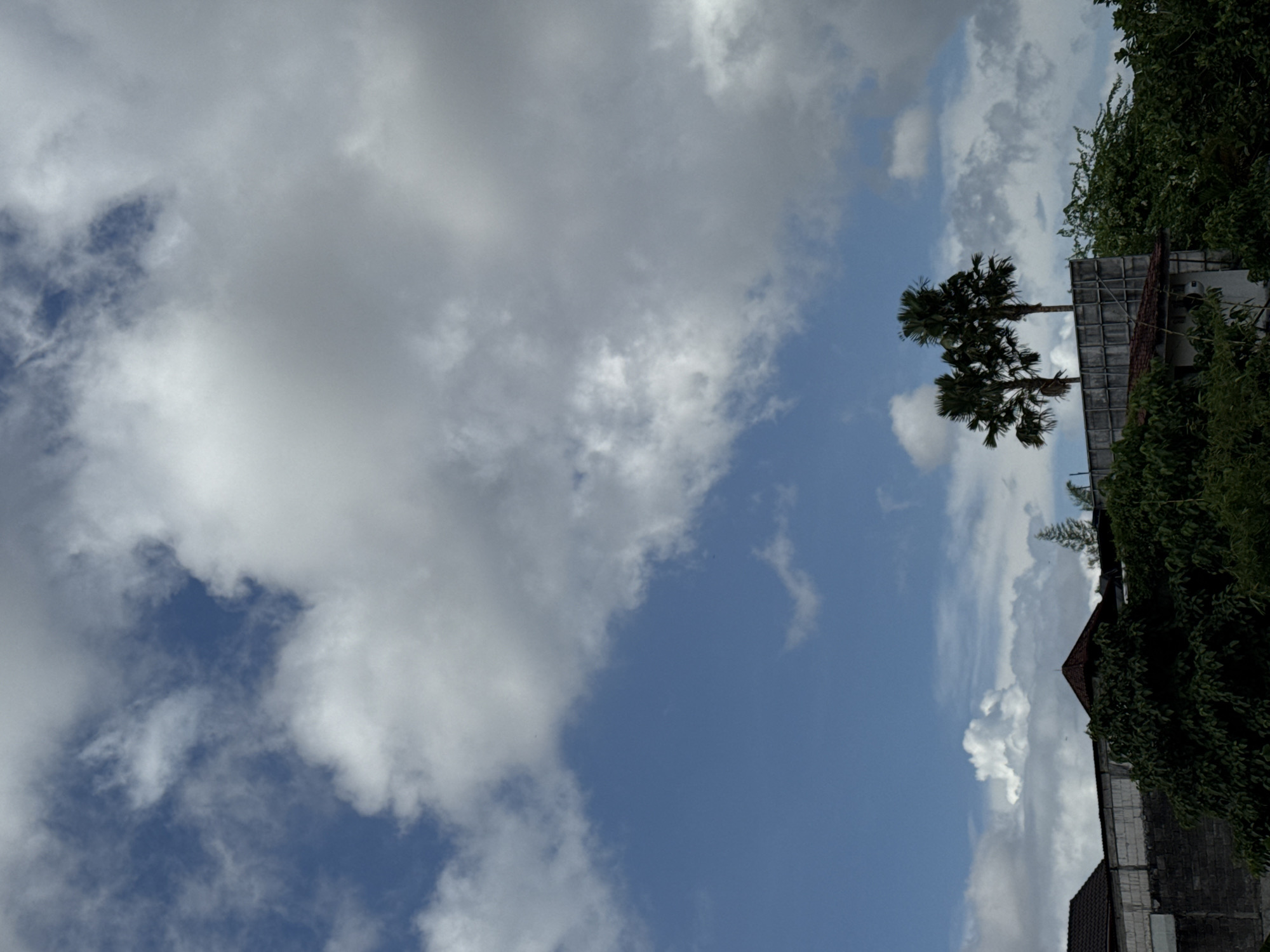 The image displays a bright, partly cloudy daytime sky over a tropical landscape, consistent with North Kuta, Indonesia. The majority of the frame, particularly the left and upper sections, is dominated by a clear blue sky interspersed with various cloud formations, ranging from fluffy white cumulus clouds to more diffuse, greyish patches.
On the right side of the image, dense green foliage from trees and bushes forms a vibrant vertical border, extending from the top to the bottom. Against the blue and cloudy sky, two prominent palm trees with dark green fronds are visible in the upper-right portion of the frame.
Towards the bottom right, sections of man-made structures are evident. These include a reddish-brown tiled roof, a structure featuring a distinctive grid-like pattern (possibly a water tank or a section of a building), and a light-colored concrete or brick wall. The scene is static, with no human activity or visible text. The bright lighting suggests it is daytime, likely morning or early afternoon.