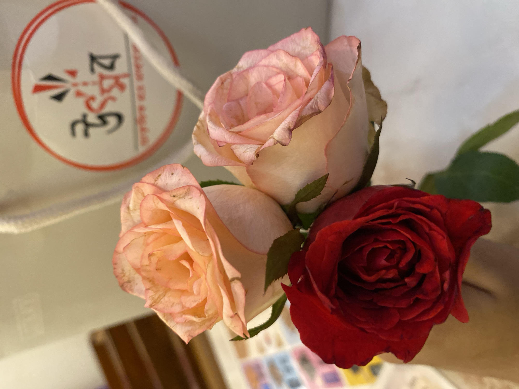 A still-life photograph depicts three roses of different colors – two pale pink with darker pink edges, and one deep red – arranged together with green leaves. Behind the roses is a white paper bag with a circular logo in red and black, bearing text in Bengali script. The logo suggests the location is Dhaka, Bangladesh. The bag is partially visible, indicating a close-up shot of the roses. The background includes hints of a wooden surface and possibly other objects, but these are out of focus. The light source appears to be soft and diffuse, creating subtle shadows.