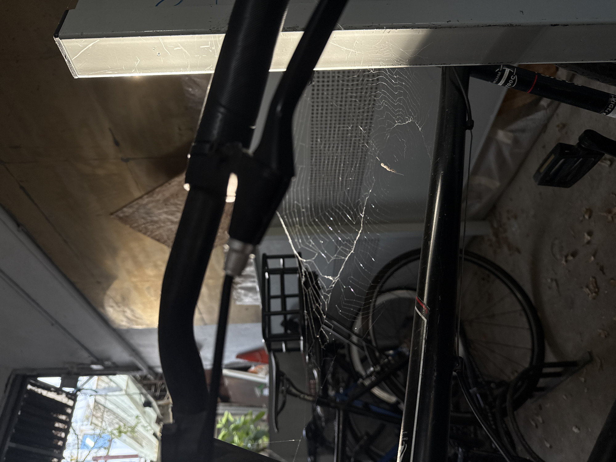 The image depicts an outdoor area, possibly a bicycle storage unit or alleyway, in Tel Aviv, Israel. The foreground is dominated by the handlebars of a bicycle, with black grips and brake levers. A delicate spiderweb, illuminated by sunlight, is suspended across the frame, stretching between the bicycle's frame and what appears to be a metal support structure on the right. In the background, other bicycles are visible, including a blue bicycle with a rear basket. The environment shows signs of disuse, with fallen leaves on the ground. Sunlight casts shadows and highlights on the textured walls of the structures, suggesting an urban setting. No people are present in the image.