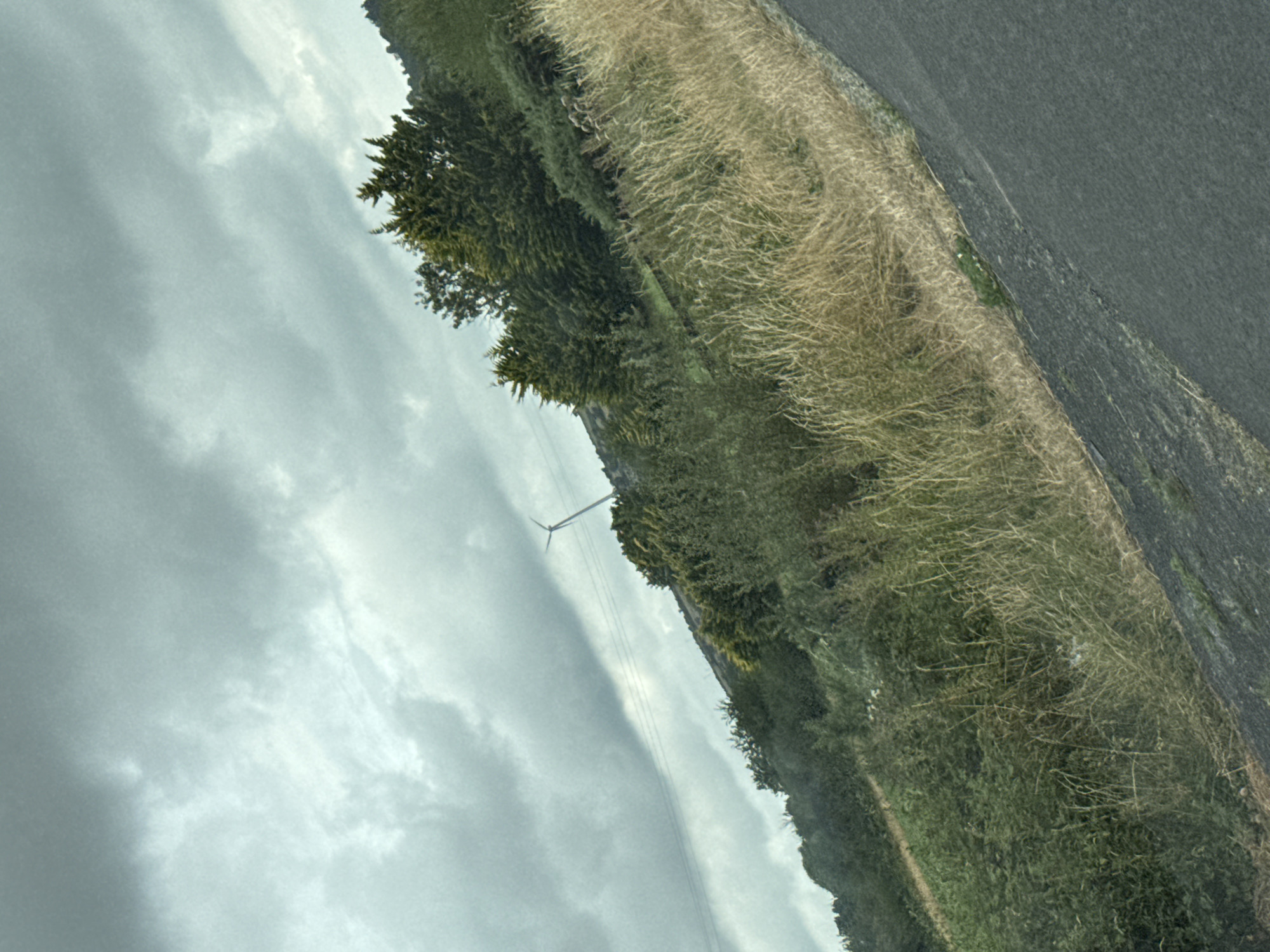 The image depicts a rural landscape under a cloudy sky, possibly in Ireland given the vegetation and lighting. A road, appearing to be asphalt, is in the foreground and diagonally traverses the lower right portion of the frame. To the left of the road, a sloped hill is covered in dense green shrubbery and dry, tall grass. In the mid-ground, a line of trees, some evergreen with pointed tops, stretches across the hill. Further up the hill, a single wind turbine stands tall against the overcast sky, its blades partially visible. Power lines are also faintly visible extending from the vicinity of the turbine across the landscape. The overall scene is one of natural, possibly undeveloped, terrain with the presence of renewable energy infrastructure.