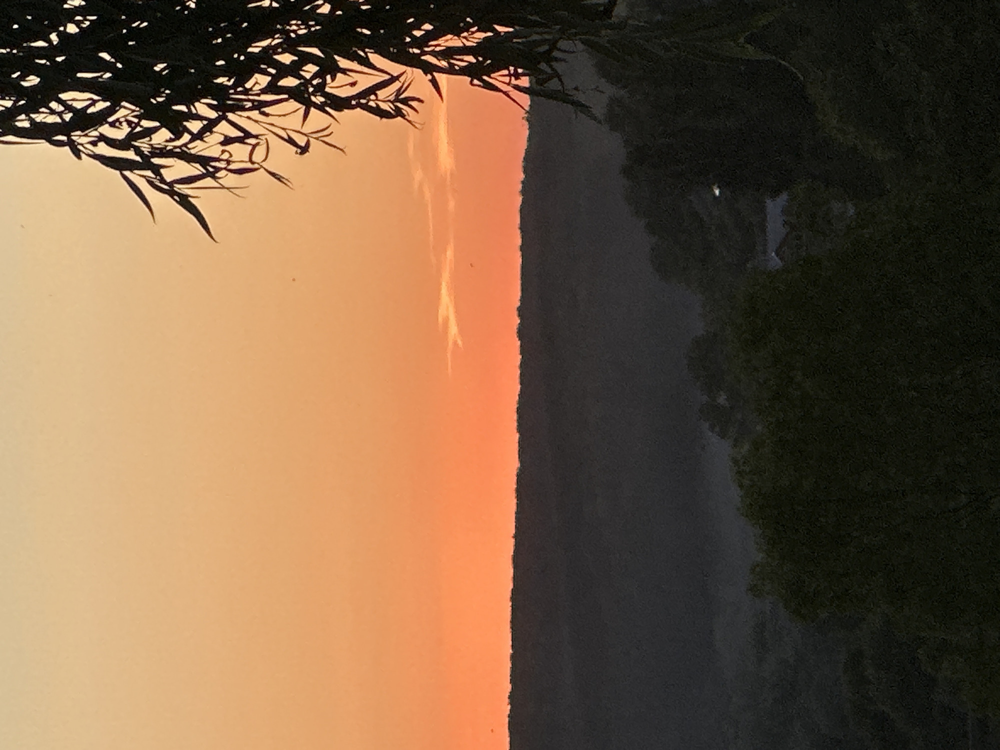 The image captures a dusky landscape in Makiv, Ukraine. The sky is a gradient of orange and yellow, transitioning to a lighter hue at the top. A dark, silhouetted line of trees forms the horizon. In the foreground, the dark silhouette of a tree with long, drooping leaves hangs from the right side of the frame. Below the horizon, a dark, shadowy forest fills the midground, with a hint of mist or fog settling in the valleys. A few structures, possibly houses, are partially visible through the trees in the lower right portion of the image. The overall impression is one of a serene and natural setting at dusk.
