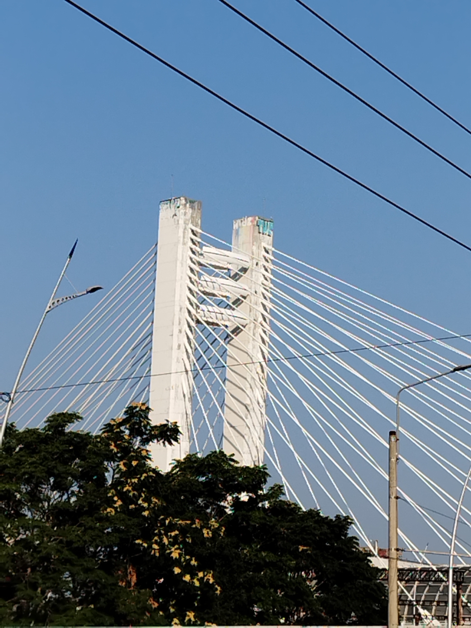 The image shows a section of the Basarab Bridge in Bucharest, Romania, on a clear day. The distinctive white pylons of the cable-stayed bridge dominate the upper half of the frame, with numerous white cables radiating outwards. The sky is a uniform bright blue. In the foreground, lush green trees with some yellowing foliage are visible, suggesting either late summer or early autumn. A lamppost with a modern design stands to the left, its arm extended upwards. Power lines are strung across the top of the image. The pylons show some signs of wear and tear, with graffiti visible on the top of the right pylon.
