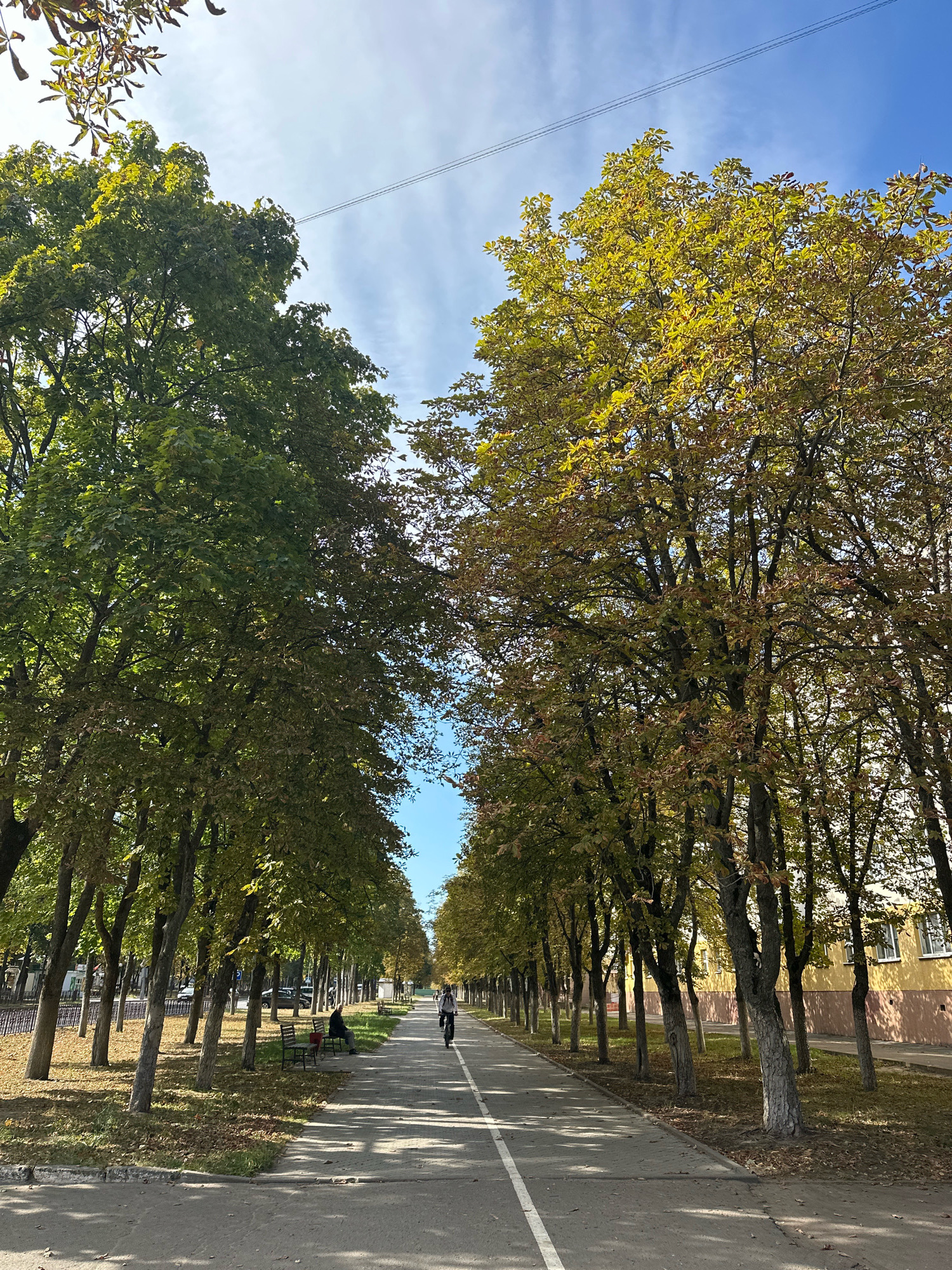 The image depicts a tree-lined parkway or street in Svietlahorsk, Belarus, on a sunny day. Two rows of deciduous trees, showing early signs of autumn with some yellowing leaves, flank a paved path that serves as both a walkway and a bicycle lane. The path is marked with a white line. In the distance, a person is riding a bicycle. To the left of the path, there are benches with at least two individuals seated on them. Beyond the trees on the left, there are buildings and parked cars, suggesting an urban or suburban setting. On the right side of the path, a yellow building with a pinkish-brown base is visible behind the trees. The sky is blue with scattered white clouds, and power lines are visible stretching across the upper portion of the frame. The ground beneath the trees is covered with dry leaves and grass. The overall scene conveys a peaceful, everyday atmosphere in a city park or residential area during the fall season.