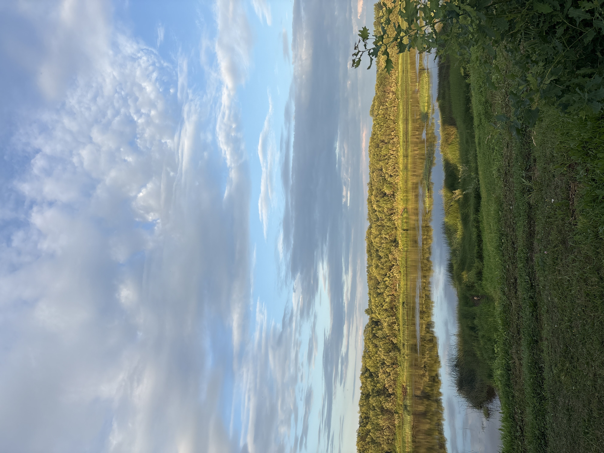 The image depicts a serene river landscape under a partly cloudy sky. The river, reflecting the trees and sky, flows gently. Lush green vegetation, including tall grass and a dense line of trees, borders the riverbank. The sky is a mix of blue and scattered white and gray clouds, with the sun casting a warm glow on the distant treeline. In the foreground, manicured green grass slopes down towards the water's edge. A single branch of an oak tree with green leaves is visible on the right side of the frame, extending into the scene. The environment suggests a natural, tranquil setting. The location is specified as Большелуг, Russia. There are no people or animals visible in the image.