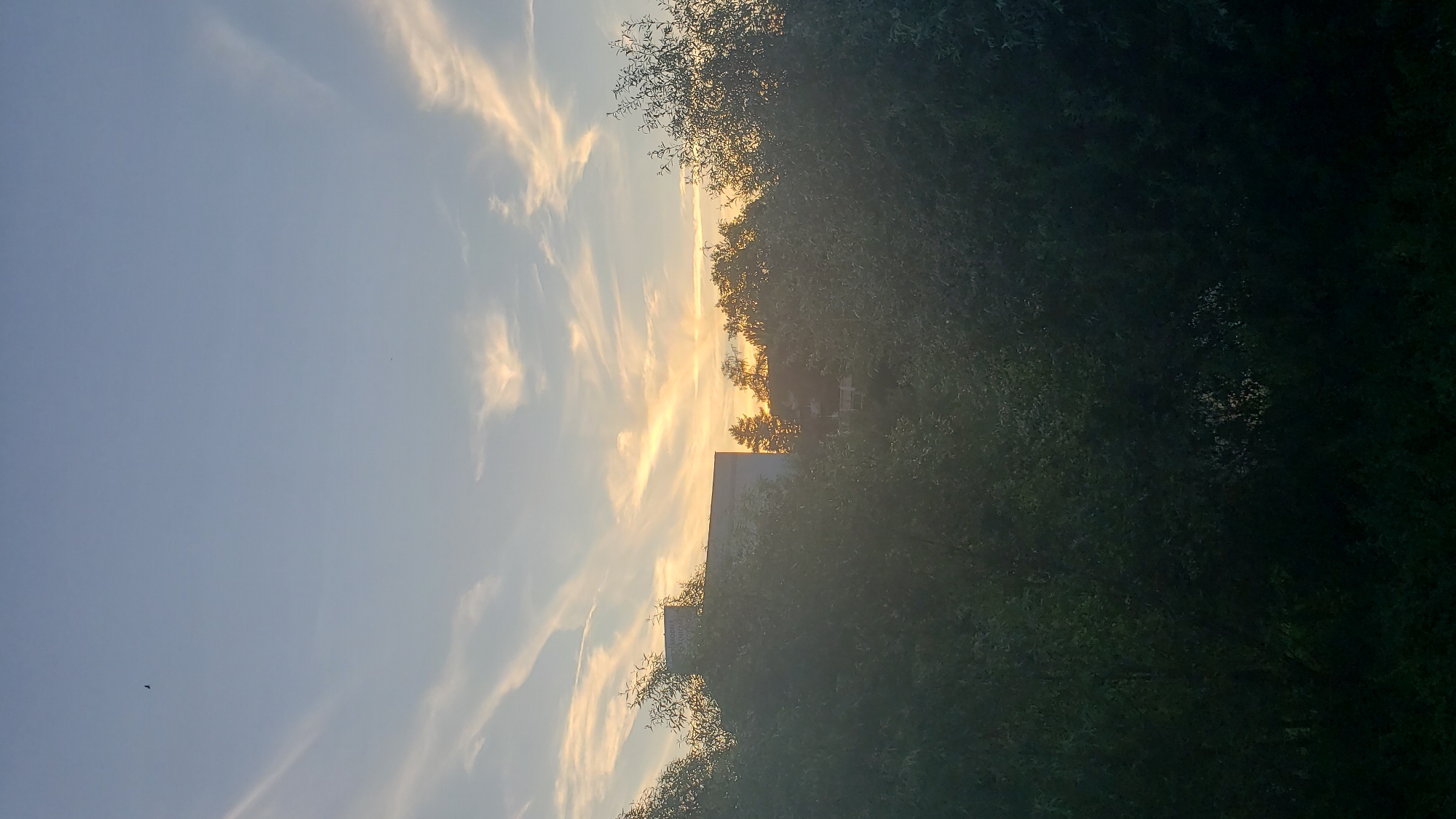 A view of the sky at sunset over Prešov, Slovakia, is captured in this image. The sky is a light blue with wispy, orange-tinged clouds, indicative of the setting sun. In the distance, the silhouette of a building, likely in the city, is visible behind a dense line of trees. The trees in the foreground are dark green and lush, obscuring much of the lower portion of the frame. A small bird can be seen flying in the upper left quadrant of the sky. The overall scene suggests an outdoor environment, possibly a park or residential area, on a clear evening.