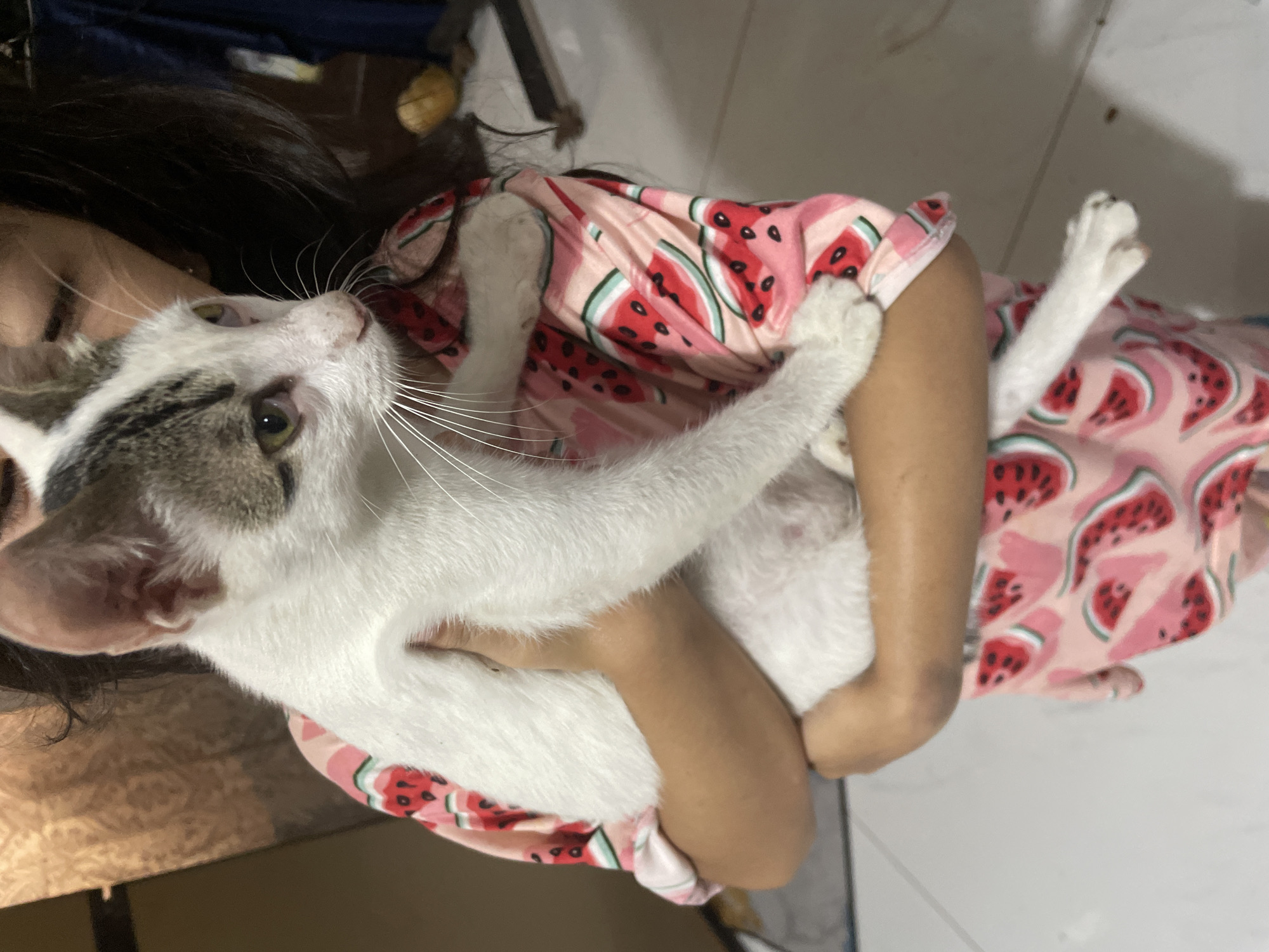 A young individual, likely a child, is holding a white cat with grey markings. The child is wearing a pink shirt with a watermelon print. The cat is being held cradled in the child's arms. The background appears to be indoors, with a tiled floor and some objects suggesting a domestic environment, possibly in Davao City, Philippines.