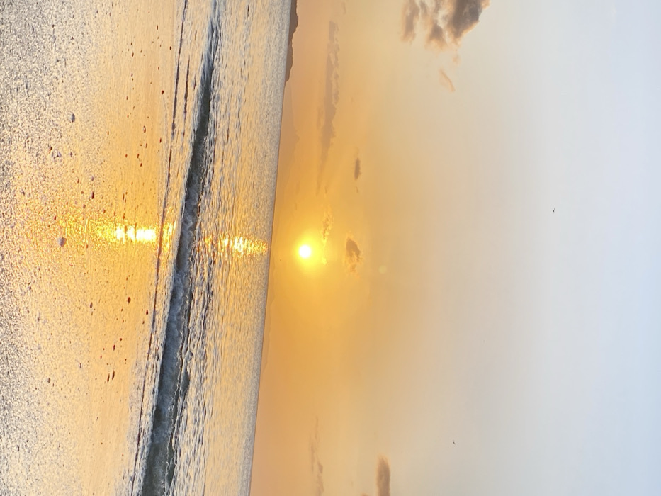 The image portrays a sunset over a coastal area in Juan Griego, Venezuela. The scene features a bright, circular sun positioned just above the horizon, slightly to the right of the image's vertical center. A strong, golden reflection extends from the sun across the calm body of water to the wet, sandy beach in the foreground. Gentle waves are breaking along the shoreline, creating lines of white foam. The sky transitions from a light blue at the top to an intense orange-yellow closer to the horizon, with scattered, indistinct clouds present, mainly on the left and right. A dark, low-lying landmass, appearing as a silhouette, is visible on the far left horizon, accompanied by faint outlines of hills or mountains extending towards the right. Several small, dark specks, consistent with birds, are discernible in the upper sky. No individuals, explicit actions, or interactions are depicted.