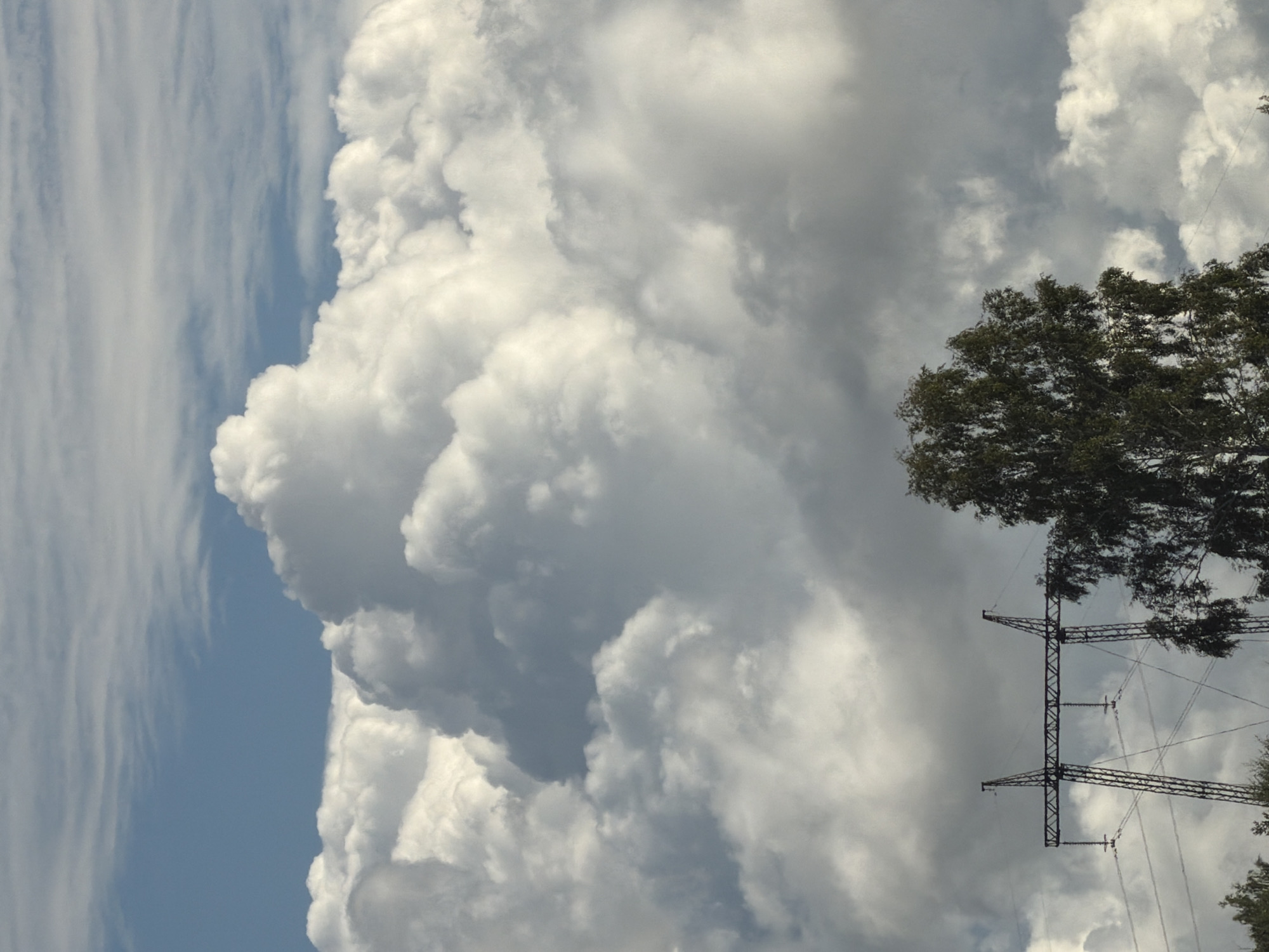 The image depicts a dramatic sky with large, billowing white clouds dominating the upper portion. A bright blue sky peeks through in the top left. In the lower third of the image, a tall, metal electricity pylon stands prominently, supporting multiple power lines that crisscross the frame. To the right of the pylon, a dense green tree with slender leaves is visible. The lower edges of the image show the tops of other trees, suggesting a rural or semi-rural landscape. The overall impression is one of a powerful sky over a utilitarian landscape element, likely taken in Odukalns, Latvia.