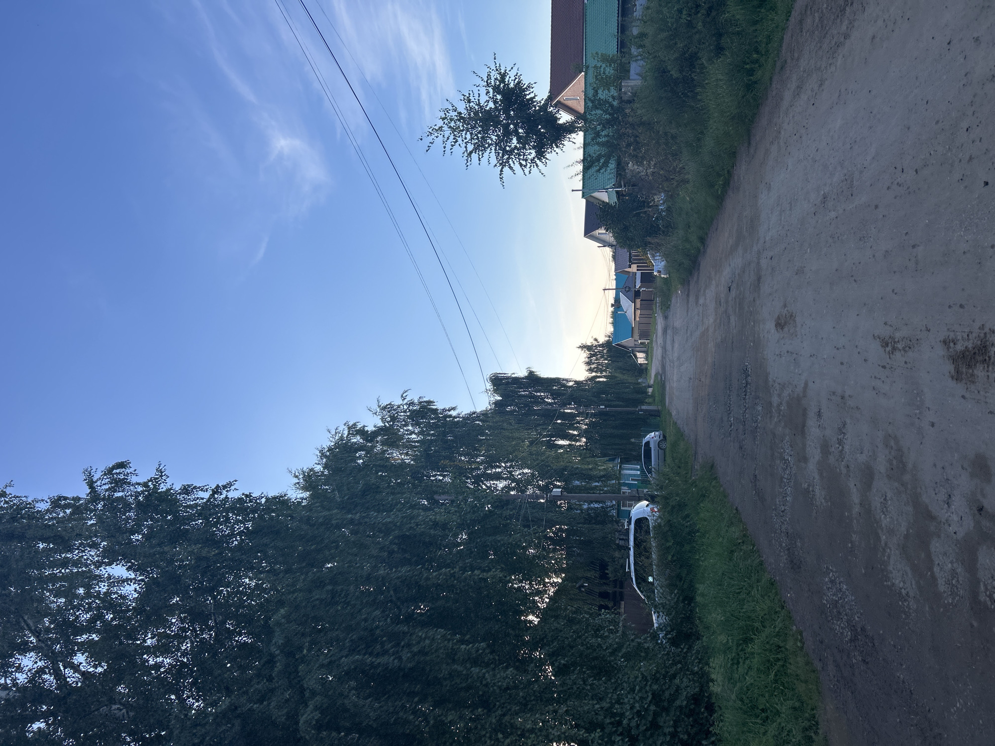 The image shows a dirt road in a rural setting, likely in the city of Chaikovsky, Russia. Tall, leafy trees line the left side of the road, their branches creating a dense canopy. On the right side of the road, there are several houses with various roof colors, including green and brown. A few cars are parked along the road, and power lines are visible stretching across the blue sky, which has a few wispy clouds. The road surface appears uneven and somewhat muddy in places, suggesting it is unpaved and potentially subject to weather conditions. The overall impression is of a quiet, residential street in a village or dacha community.