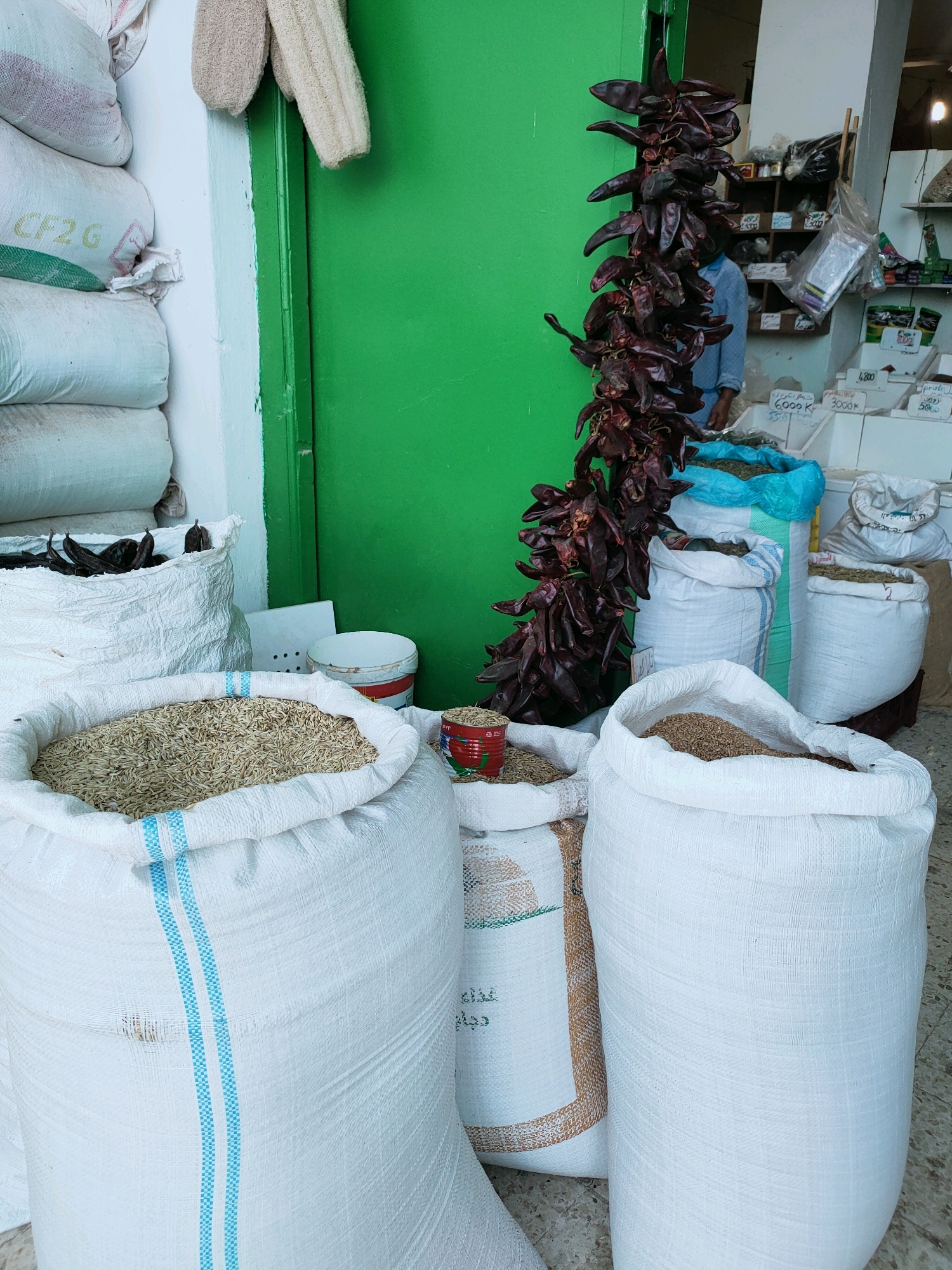 The image depicts a street-level market stall, likely in Béni Khiar, Tunisia. The foreground features several large, white woven sacks filled with grain or seeds. One sack is open and filled with light-colored, small grains. Another sack to the left contains what appear to be dried carob pods. To the right of the open grain sack, a smaller red tin holds a similar grain. A large, bright green door serves as the backdrop for a portion of the stall. Hanging from the top left of the door are two loofah sponges. Suspended from the right side of the door, a large bunch of dried red chili peppers hangs vertically. Behind the chili peppers, a man wearing a blue shirt is partially visible, facing away from the camera. Shelving units are visible behind the man, stocked with various items, and other sacks of goods are present. The ground is tiled.