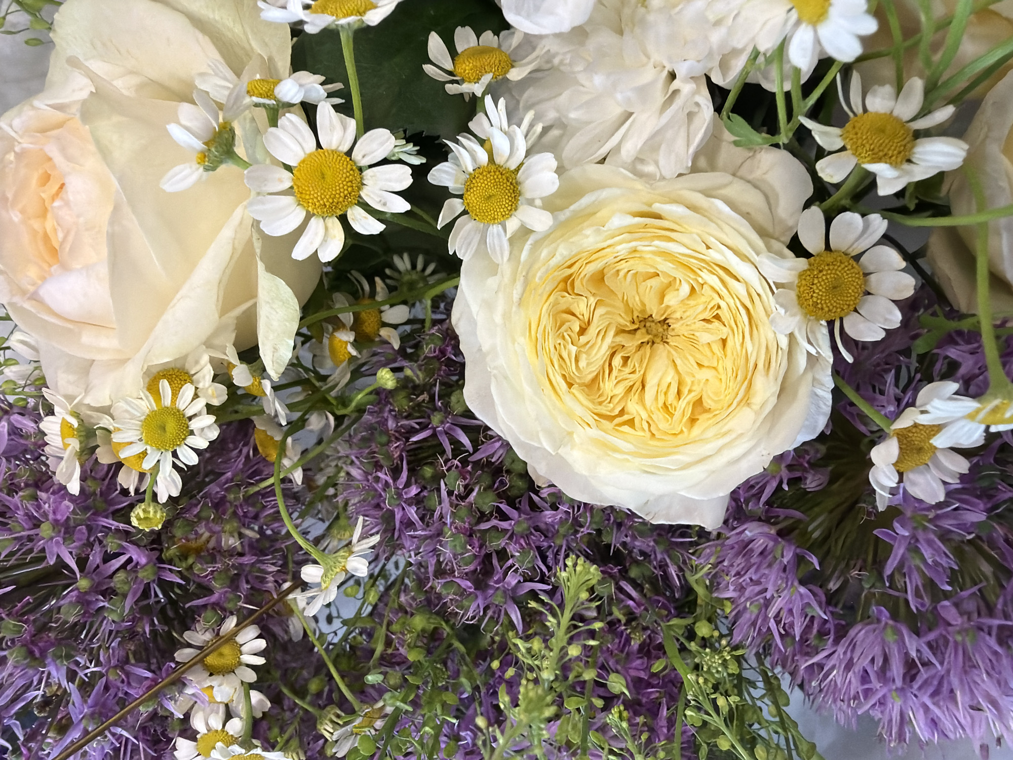 This is a close-up, overhead, eye-level shot of a floral arrangement. The arrangement features a large, pale yellow rose with tightly packed petals in the foreground, slightly to the right of center. To the left and behind this rose are clusters of small, white daisies with yellow centers. Interspersed with the roses and daisies are airy sprigs of vibrant purple allium flowers and delicate green foliage. In the background, a large, creamy white rose peeks out from behind the other flowers. The lighting is soft and diffused, highlighting the textures and colors of the blooms. The overall impression is one of natural beauty and a light, airy aesthetic. The image does not contain any information about a specific location, people, or actions.