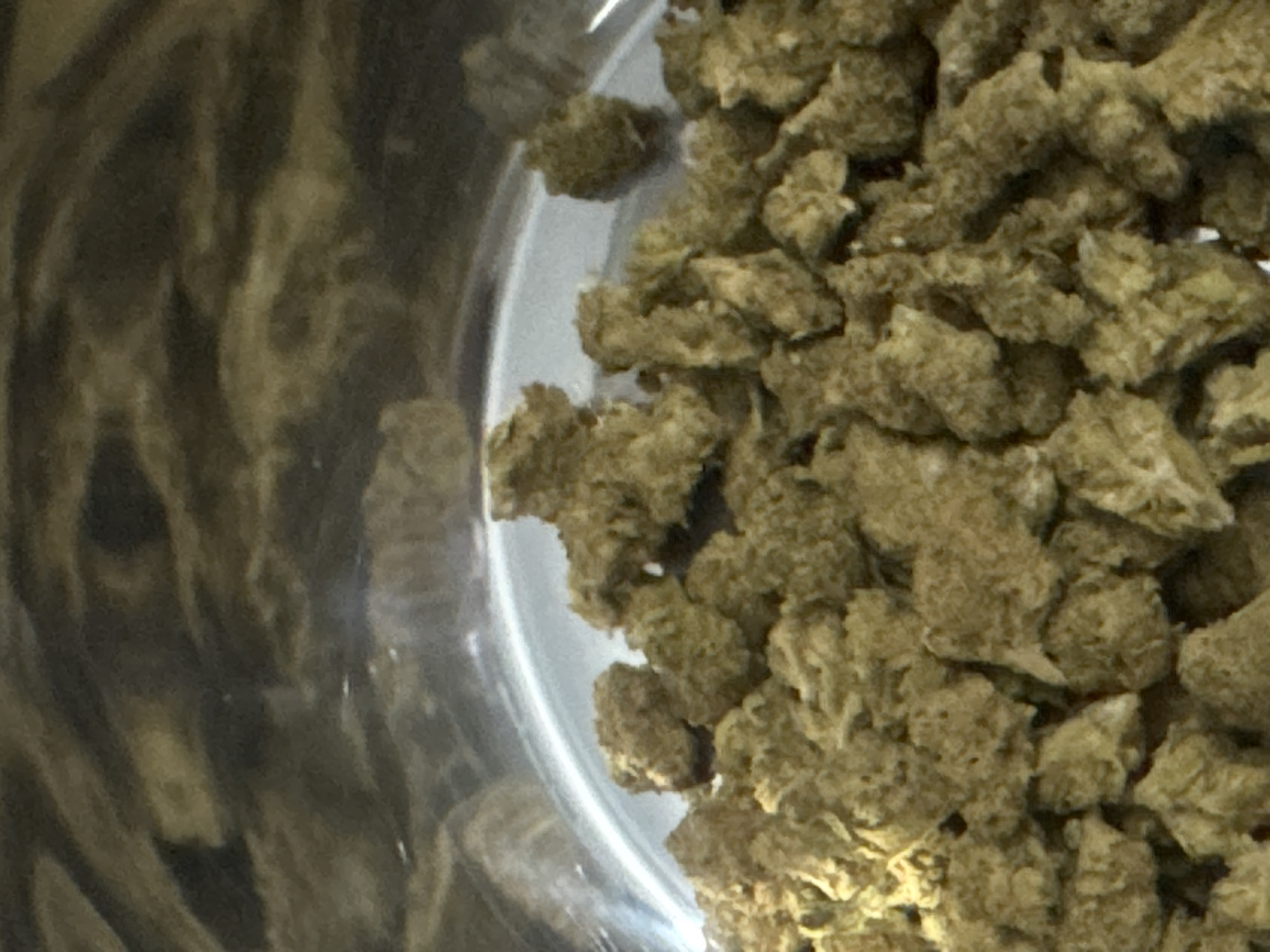 The image presents a close-up, overhead view of a granular substance contained within a clear vessel, likely a glass jar or plastic container. The main subject is a pile of numerous small, irregular, brownish-green pieces that appear dry and crumbly, filling the right side of the frame. These pieces exhibit a textured, somewhat fibrous appearance.
A distinct, curved, clear line, representing the edge or wall of the container, separates the granular material from the left portion of the image. The left side features a highly blurred and abstract background, characterized by undulating patterns of dark and lighter brown tones, which might be a reflection or an out-of-focus surface.
No people are visible, and no specific activity is taking place other than the material being held in the container. There are no discernible emotions, time of day indicators, or weather cues. No text is visible in the image. The context of Ramat Gan, Israel, is provided, but no visual elements in the image directly indicate this location.