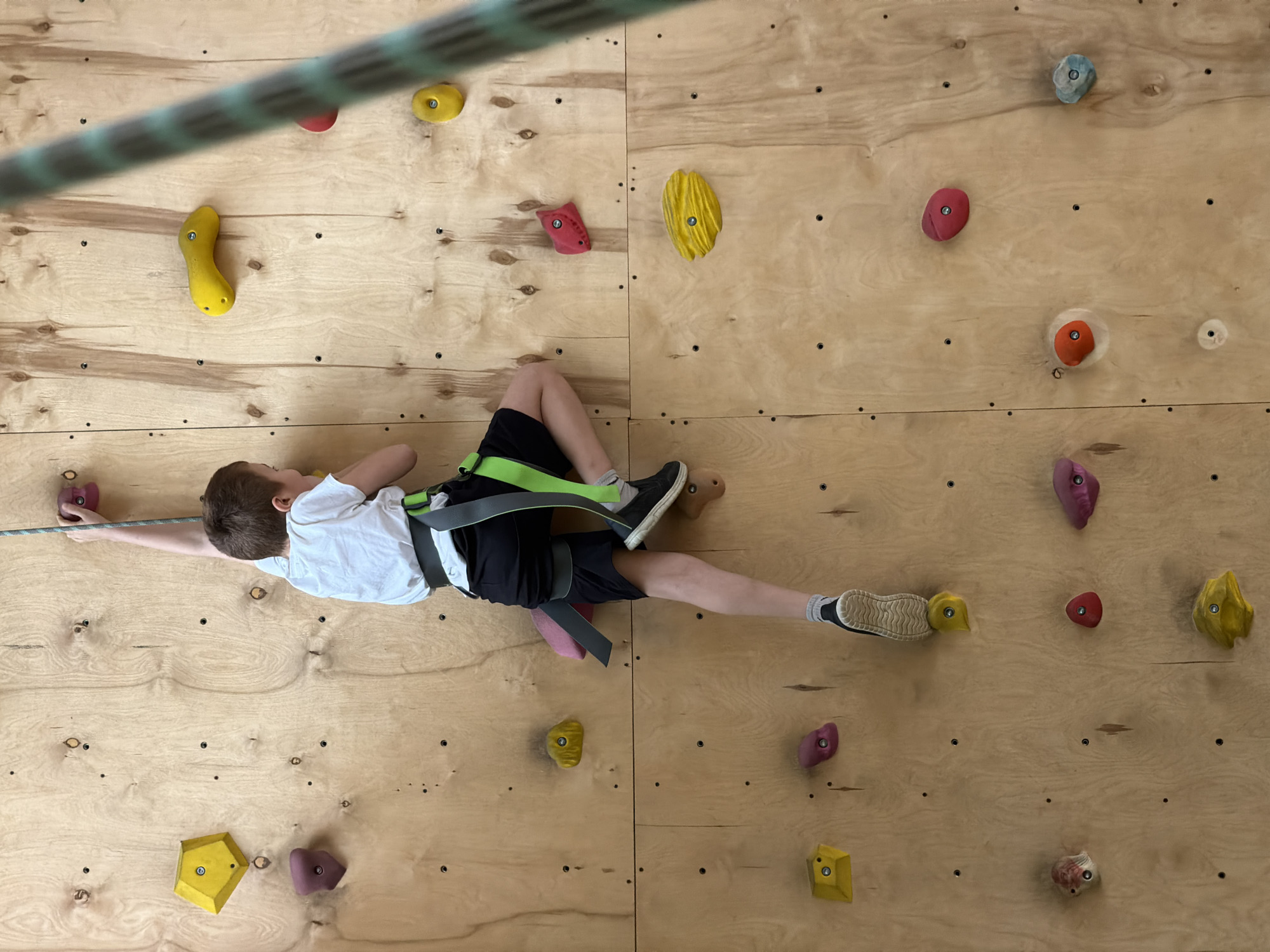 A young boy is harnessed and climbing a climbing wall indoors. He is wearing a white shirt, black shorts, and dark shoes. He has a rope in his right hand. The climbing wall is made of wood and has colorful holds attached to it. The location is unknown.