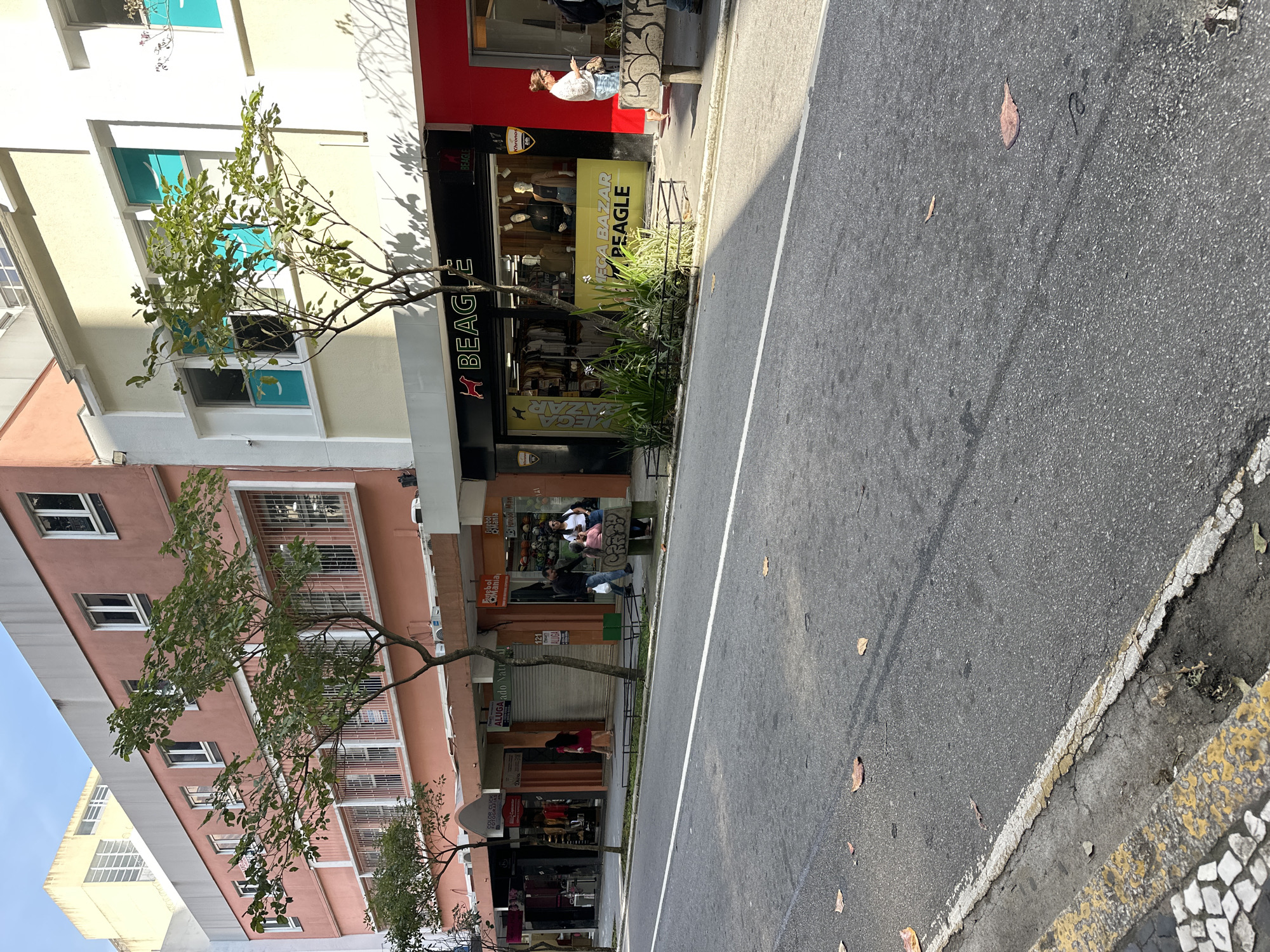 This image depicts a street scene in the city of Florianópolis, Brazil, specifically on Rua Victor Meirelles in the Centro district, known for its commercial establishments.
In the foreground, a paved road runs diagonally across the frame, with a white line marking the center and a yellow-and-white striped curb on the left. Several fallen leaves are scattered on the asphalt. The sidewalk adjacent to the road features a mosaic pattern near the curb and is lined with trees.
The background showcases a row of buildings housing various businesses. The building on the far right is painted red and features a store with a glass facade and mannequins. To its left is a store with a black awning displaying the "BEAGLE" logo, which also sells clothing and has mannequins in the window. Further to the left, a store with an orange facade has a closed metal shutter and a sign indicating "ALUGADO NATURAL". Another establishment with a darker facade and an awning displays "COLOR CLICK FOTOGRAFIAS." Above these ground-level shops, the buildings have multiple floors with windows and balconies.
Several individuals are present in the scene. On the sidewalk in front of the "BEAGLE" store, a woman in a white shirt and jeans is looking at her phone. Near the "ALUGADO NATURAL" shop, a woman in a red dress is walking. In front of the sports store, two people, a man and a woman, are standing, and a child is seated on a concrete bench with graffiti.
The overall environment suggests a sunny day in an urban commercial area.