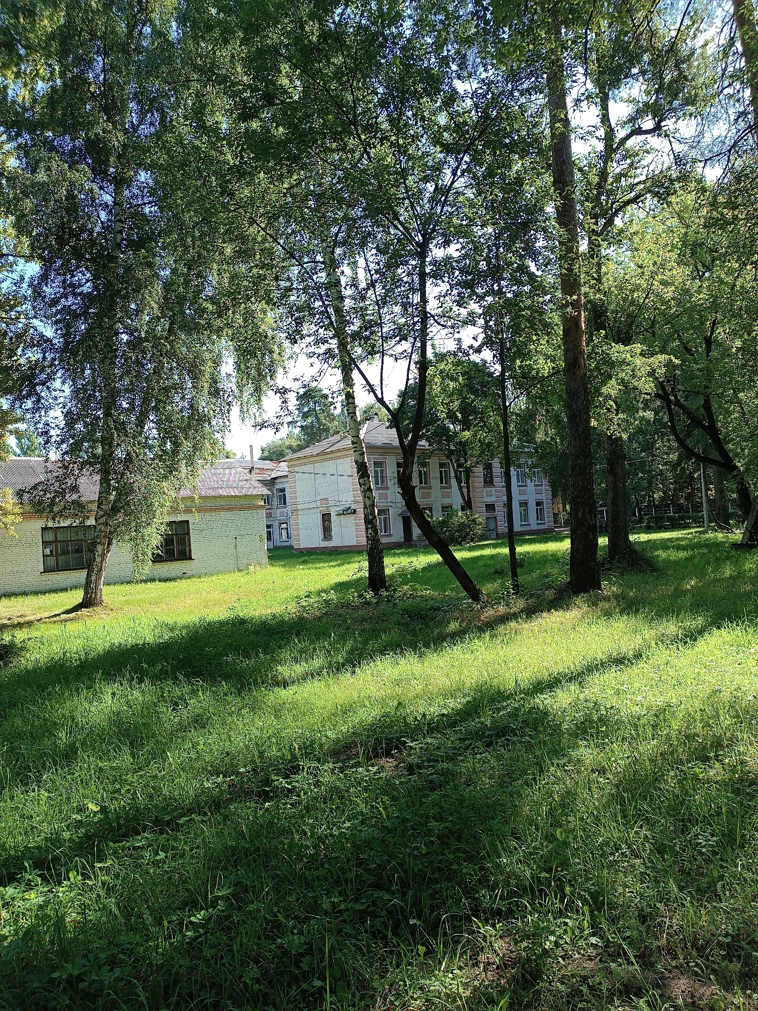 In the city of Bykovo, Russia, a sun-dappled lawn surrounds a cluster of buildings, suggesting a former sanatorium or similar institution. The architecture is simple and functional, with brick exteriors and pitched roofs. Lush green trees, including birch and pine, dot the landscape, their leaves creating a canopy that casts dappled shadows on the grass. The scene evokes a sense of quietude and natural beauty, hinting at a place where people once sought rest and healing.