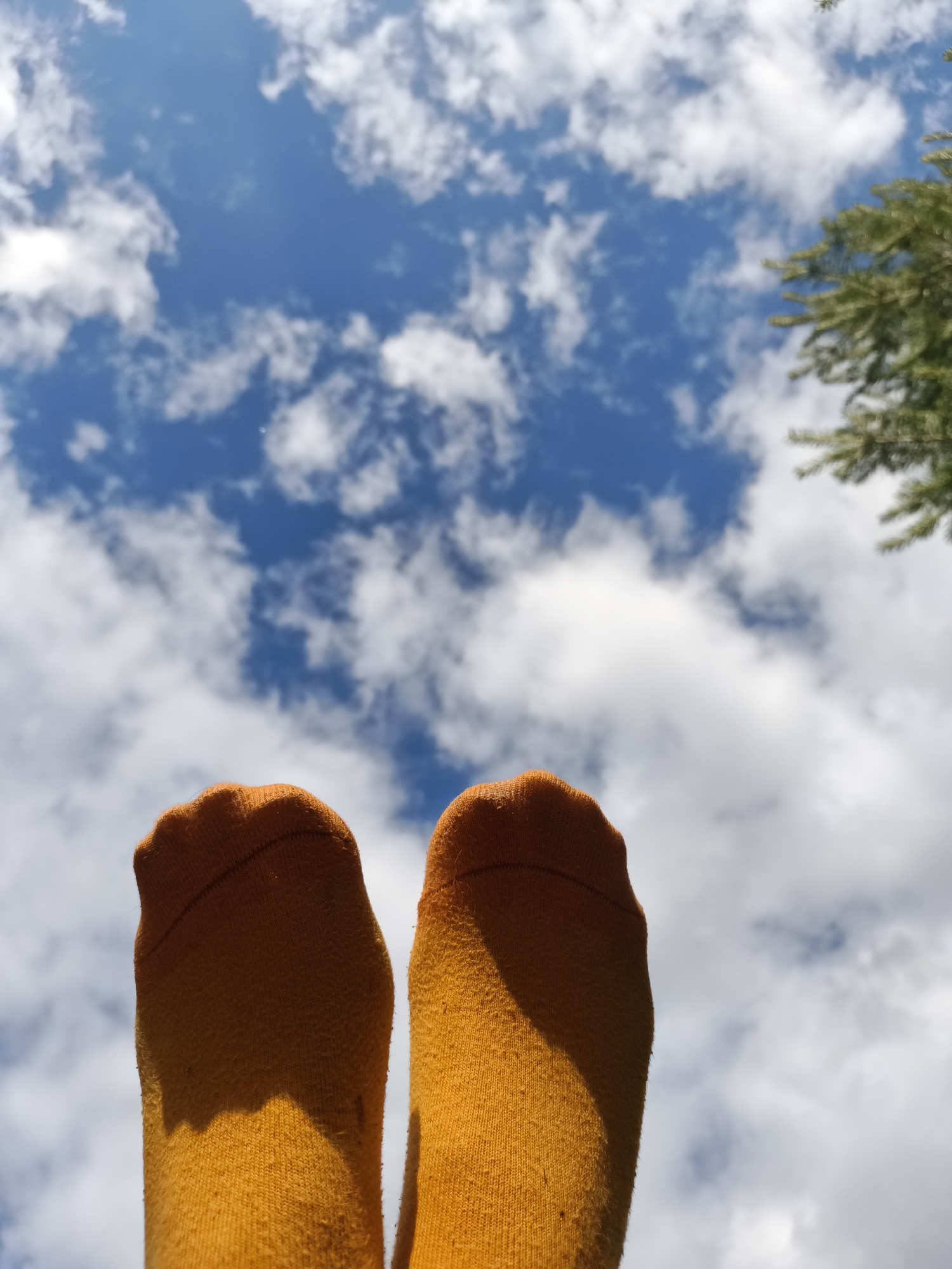 The image shows two feet wearing orange socks, pointed upwards towards a blue sky with white clouds. A blurry green tree is visible in the upper right corner. The perspective is from below, as if the person is lying down. There are no identifiable landmarks or urban elements that would indicate a specific location within Chaikovsky, Russia.