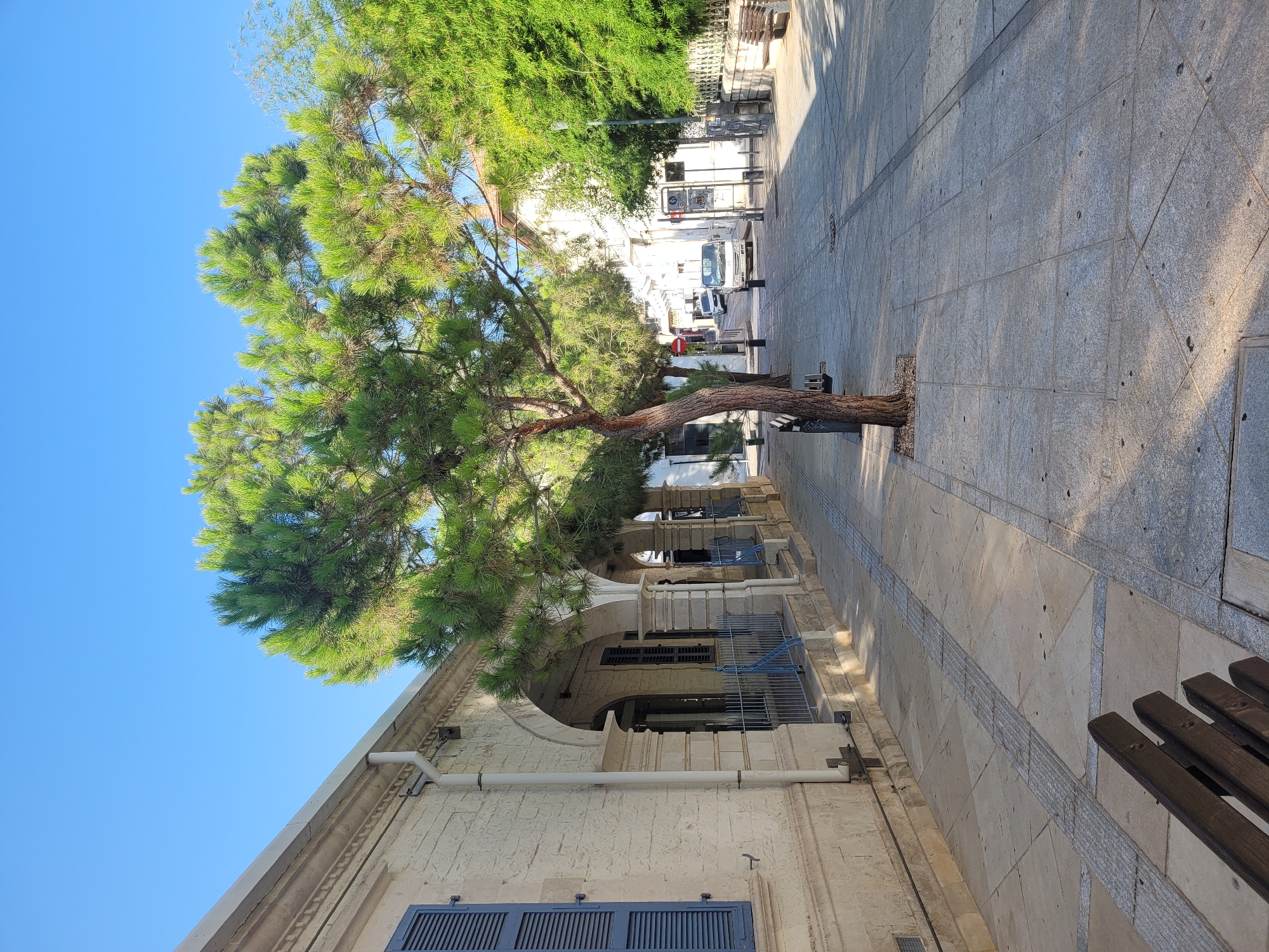 A street scene in Limassol, Cyprus, on a clear day. The foreground shows a wooden bench, partially visible. The sidewalk is paved with light-colored tiles, featuring a tactile paving strip. To the left, a light-colored building with stone facade, arched doorways, and blue shutters is visible. A young pine tree stands on the sidewalk, casting a shadow. Beyond the tree, the street continues, lined with more trees and buildings. Two vehicles, a white car and a white van, are visible further down the street. The overall impression is one of a quiet, pedestrian-friendly urban environment bathed in sunlight.