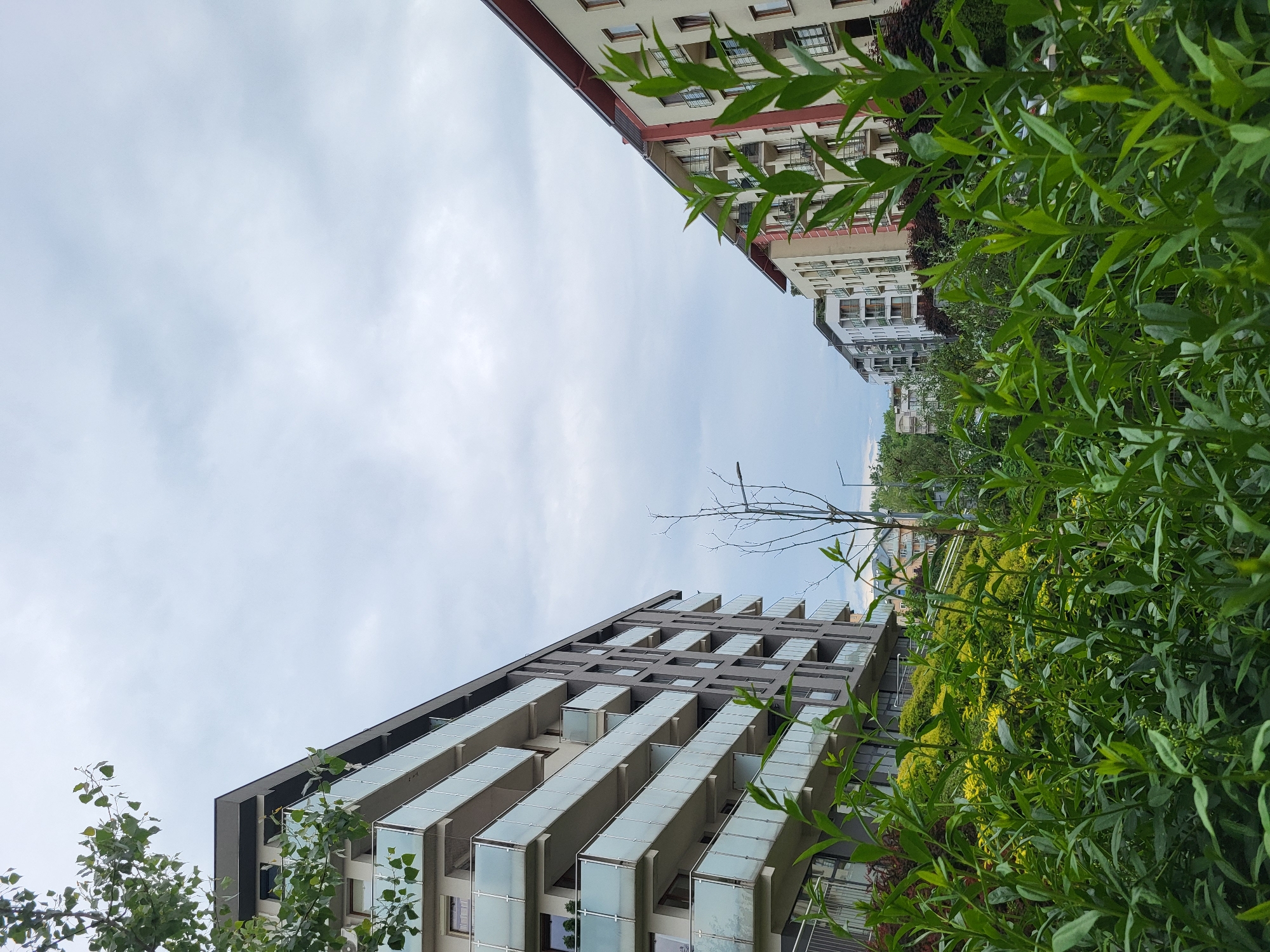 The image, taken in an unidentified location within the city of Unknown, Unknown, shows a view upwards towards a cloudy sky framed by buildings and vegetation. A tall, modern building with multiple floors and glass-fronted balconies is visible on the left. On the right, a building with a more traditional design and numerous windows is partially obscured by green foliage. Bushes and trees, with varying shades of green, dominate the lower right portion of the image. A thin, bare tree branch extends upwards from the center towards the sky.