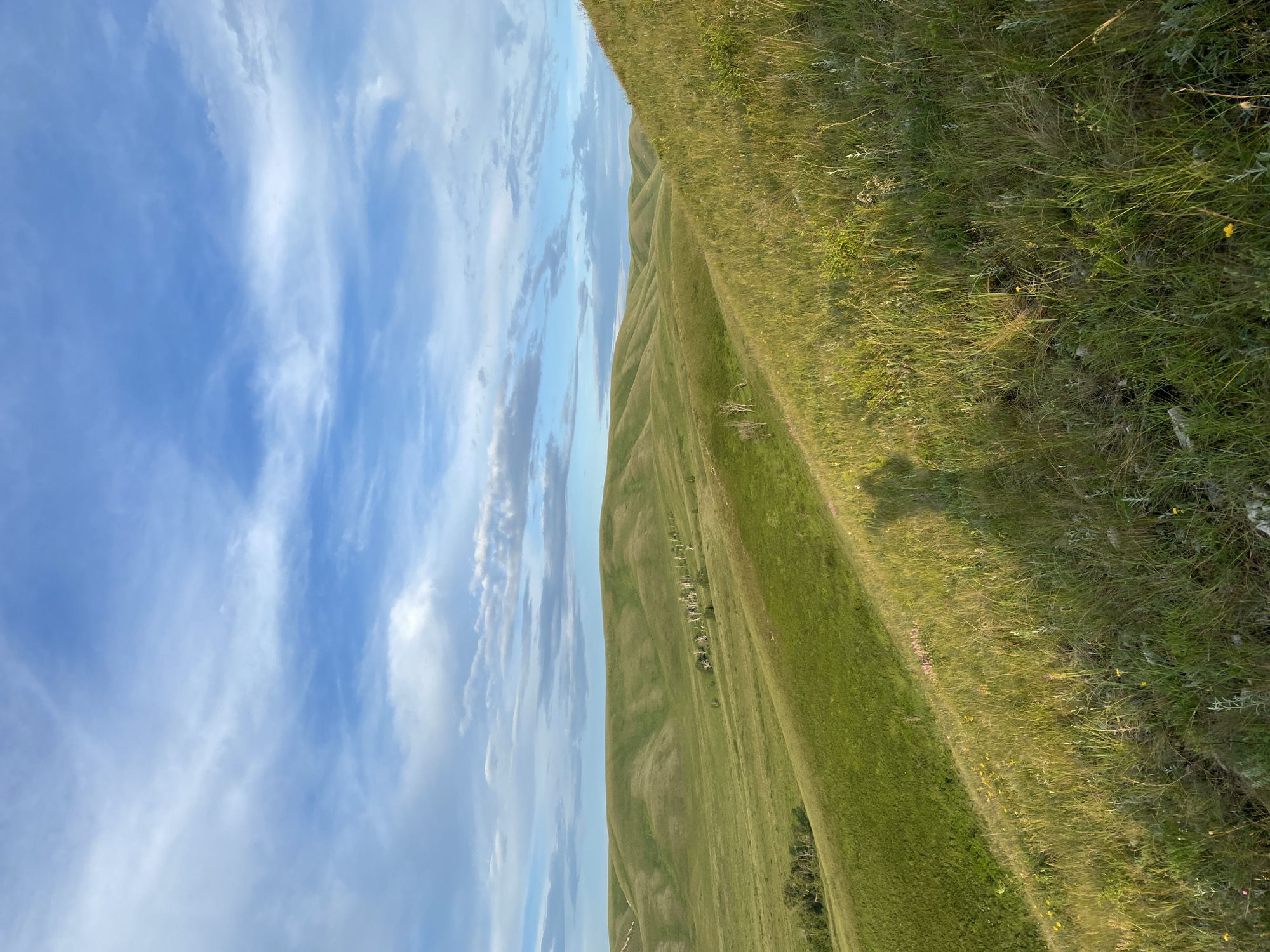 The image depicts a landscape of rolling green hills under a blue sky with scattered clouds. The foreground is a grassy slope, transitioning into more distant, rounded hills covered in lush green vegetation. In the middle ground, a cluster of slender trees stands out against the green. A shadow of a person is visible in the lower right portion of the frame, cast on the grassy slope. The overall impression is of a natural, undeveloped rural or wilderness area. There is no information in the image to suggest it is located in the city of Novogafarovo, Russia.
