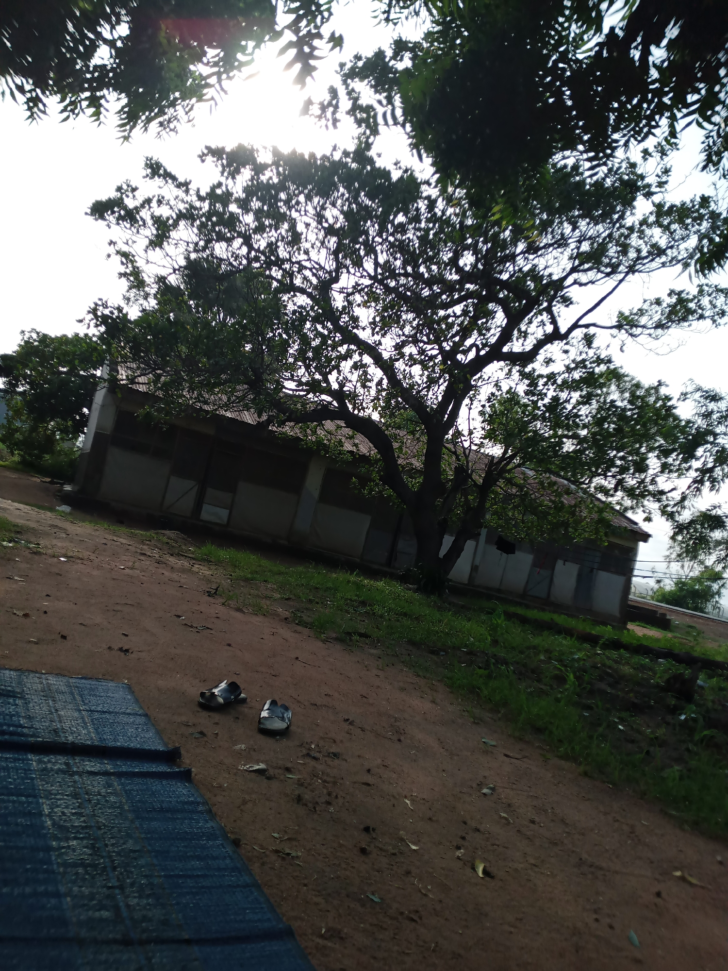 In Jauro Yinu, Nigeria, a wide shot captures a dirt path leading towards a long, low-lying building. The building appears to be a school or community center with a corrugated metal roof and numerous doors or windows along its side. A large tree with dense foliage is positioned in front of the building, partially obscuring it. The ground is covered in dirt with patches of dry grass and some scattered leaves. Two sandals, one black and one white, are placed on the dirt path in the foreground, suggesting a recent human presence. The sky is bright, with sunlight filtering through the leaves of trees in the upper portion of the image. The overall scene suggests a rural or semi-rural setting in Nigeria.
