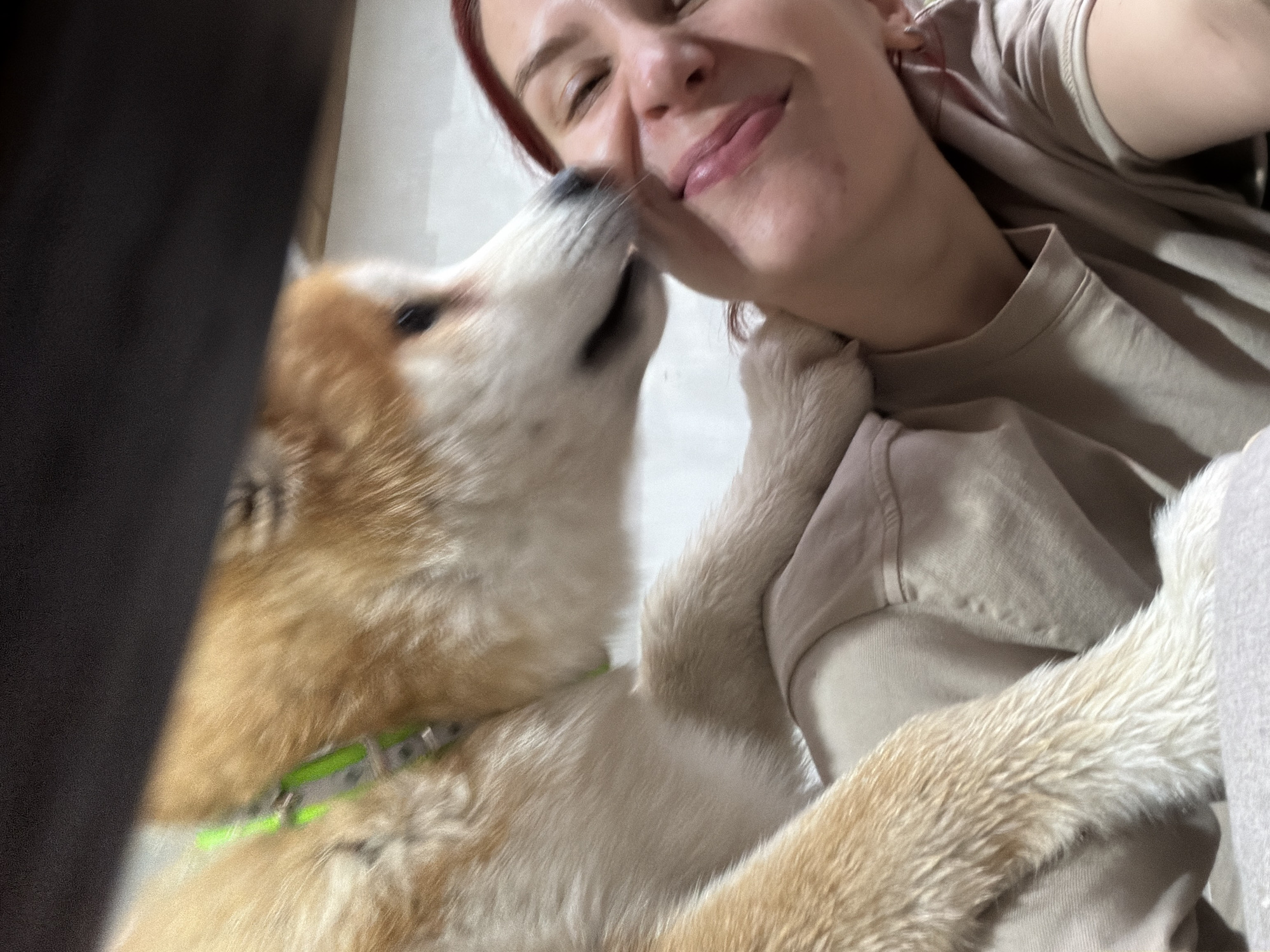 A woman with reddish-brown hair and a beige top is being licked on the face by a light-brown and white dog with a green collar. The woman has her eyes partially closed and is smiling. The photo appears to be taken indoors, with a blurry background. The location is Chaikovsky, Russia.