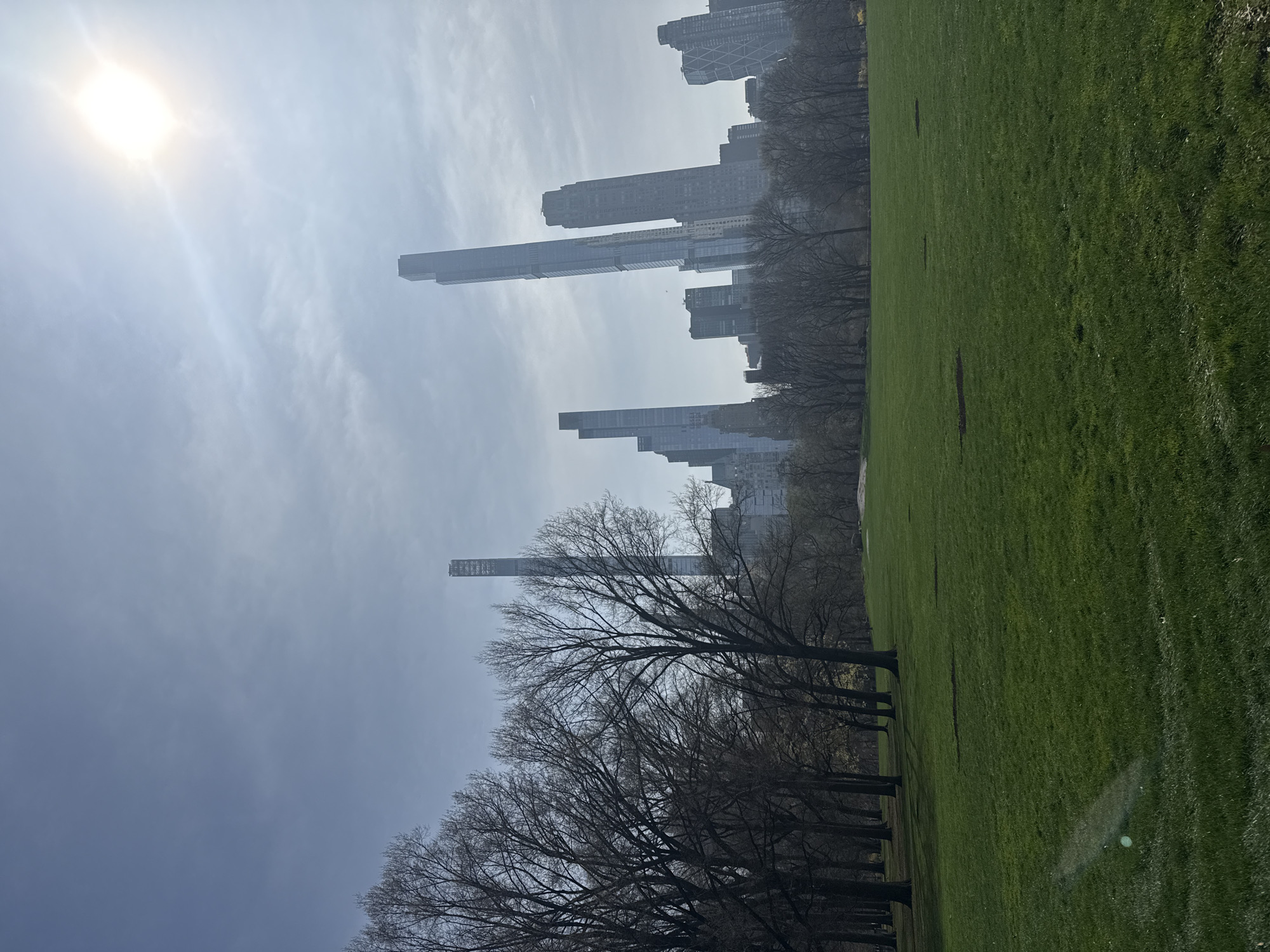 The image depicts a sunny day at Central Park in New York City, USA. A large green lawn occupies the right side of the image. Bare trees with intricate branching patterns are visible along the edge of the lawn, stretching towards the left side of the image. In the background, the skyline of Midtown Manhattan is visible, featuring tall skyscrapers emerging through the hazy sky. The sun is a bright, distinct point in the upper left corner of the sky.