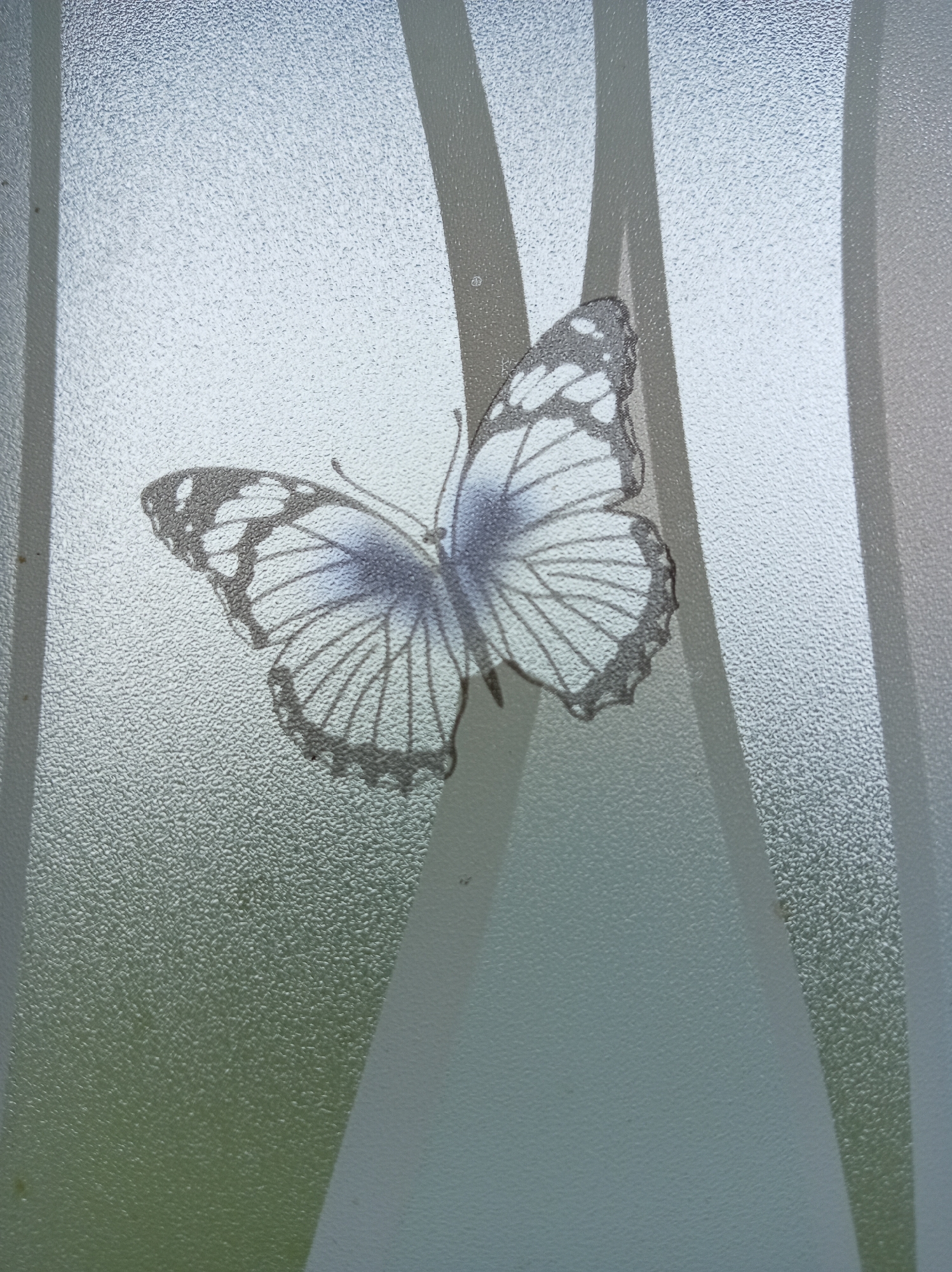 A butterfly graphic is applied to frosted glass. The butterfly is white with black markings and a touch of blue on its wings. It is positioned on the left side of the frame, facing right with its wings spread. The frosted glass has a textured surface with vertical wavy lines of varying opacity, creating a subtle abstract pattern. The background visible through the glass is a soft, blurred gradient of light blue and green. The overall impression is of a decorative element on a translucent surface, possibly a window or a glass partition. The image is taken from a slightly upward angle.