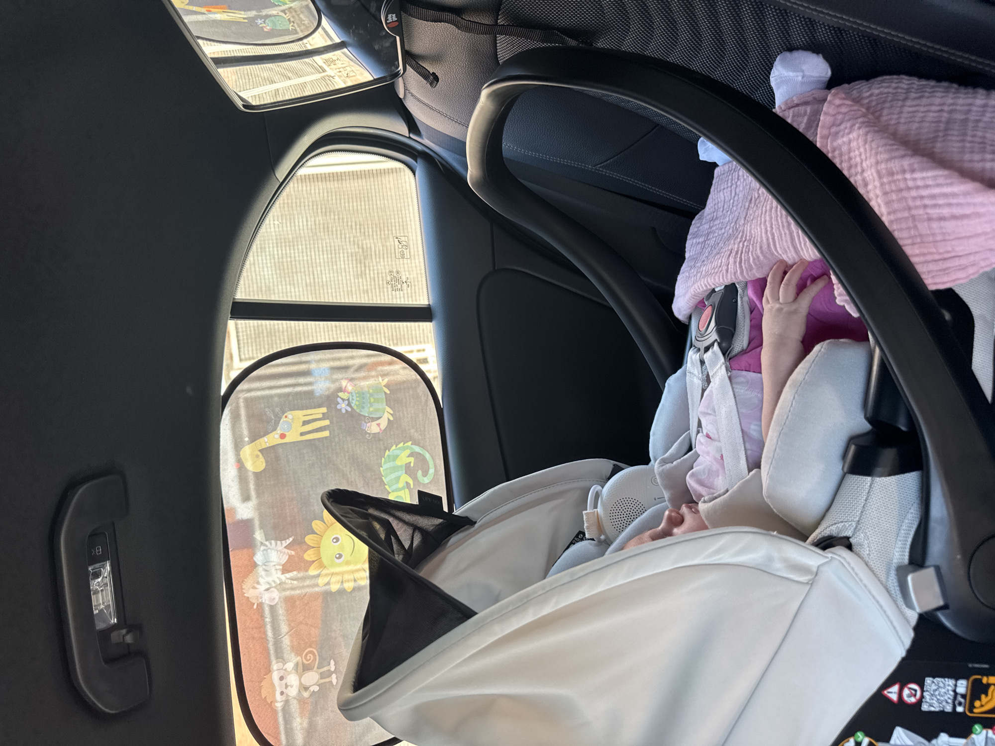 In the back seat of a vehicle, presumably a car, a baby is strapped into a white and grey car seat. A pink blanket is draped over the baby. A sunshade with cartoon animal designs is affixed to the window to the left of the baby. The vehicle appears to be in Ardea, Italy, based on the window markings.