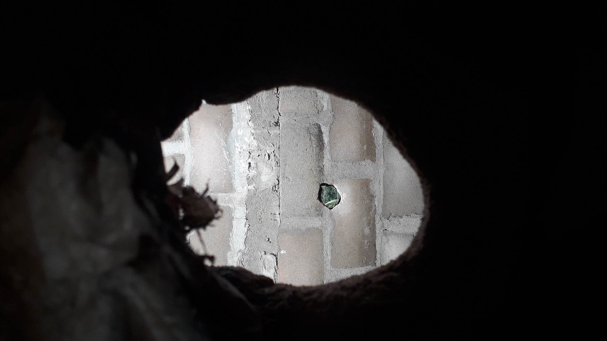 A dimly lit, roughly circular opening provides a view of a brick wall with visible mortar. A small, irregular hole is present in one of the bricks, revealing greenery beyond the wall. The foreground of the opening is mostly obscured by dark shapes and textures. This location is in Nkpor, Nigeria.