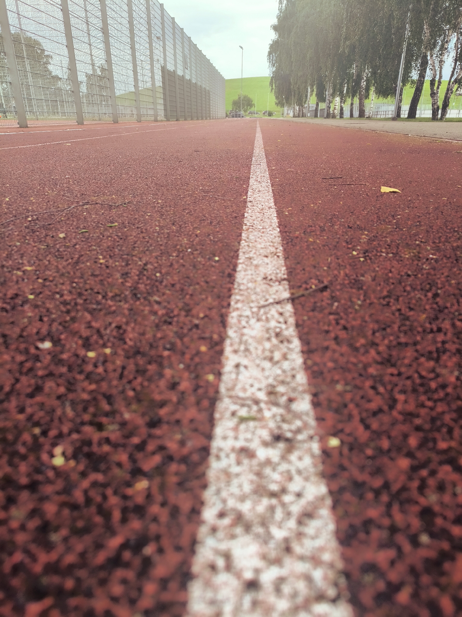 The image depicts a low-angle view of a red running track with a white lane line extending into the distance. The track surface appears to be made of granular material, possibly rubberized asphalt. To the left of the track, there is a tall metal fence, characteristic of a sports facility. Beyond the fence, trees are visible, and in the far distance, a green hill slopes upwards. On the right side of the track, a line of birch trees with white bark stands prominently. The sky is overcast with a light, diffused quality of light, suggesting a cloudy day. There are no people visible in the image. The overall impression is one of an outdoor athletic venue, possibly a stadium or a school track, in a somewhat natural or park-like setting within a city. It is impossible to determine the exact location within Riga, Latvia from the visual information provided.