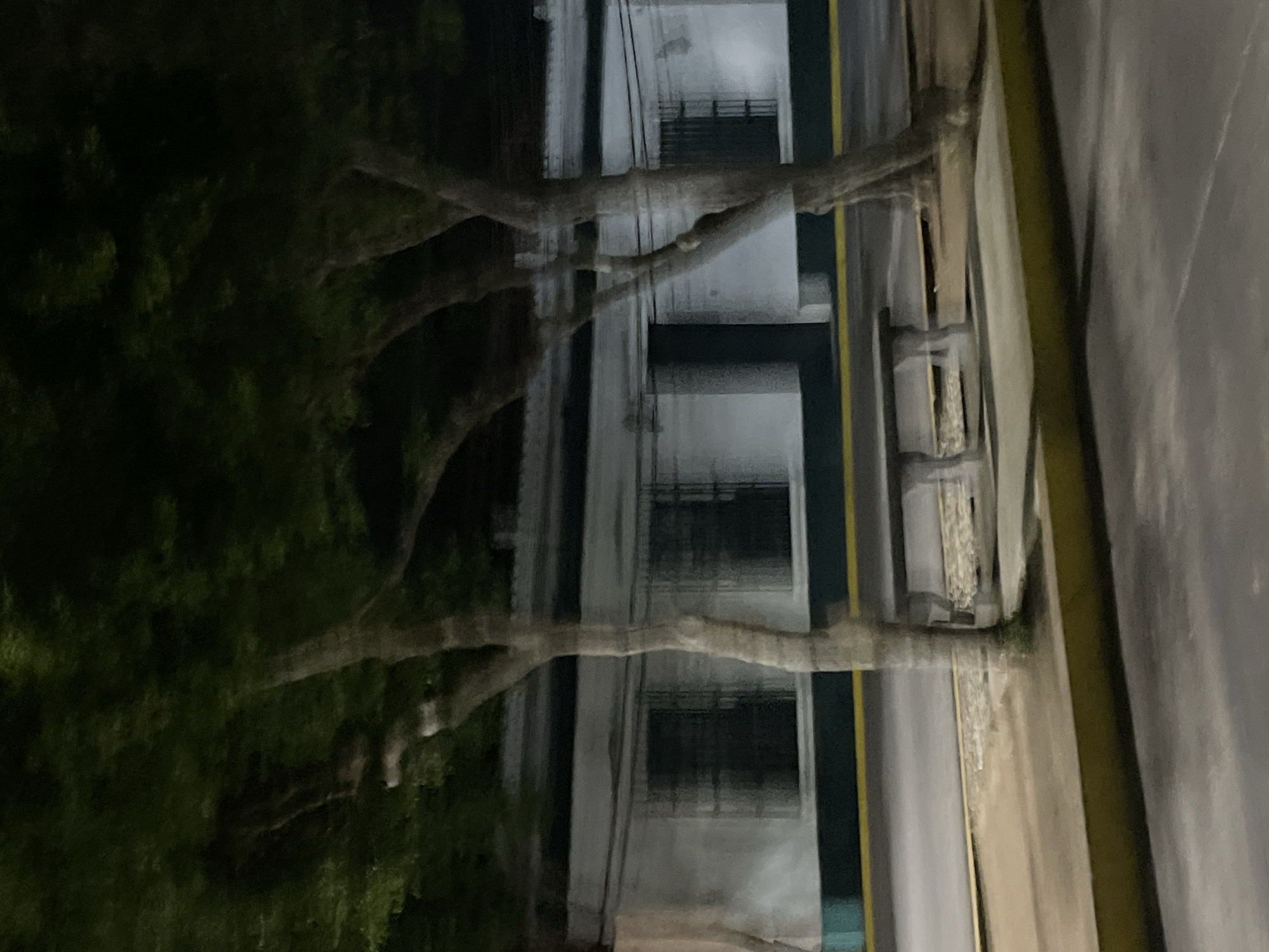 The image depicts a street scene at night, likely in Santa Ana, Venezuela, given the context provided. The foreground features a paved road and a sidewalk with a yellow-painted curb. A concrete bench with stone supports is situated on the sidewalk, partially obscured by a tree. Behind the sidewalk, a building with a white facade, dark-barred windows, and a green stripe near the bottom is visible. Several trees with dark foliage and blurred trunks are in front of the building, suggesting movement or low light conditions. The overall impression is one of an urban environment captured during nighttime, with a focus on architectural and natural elements.