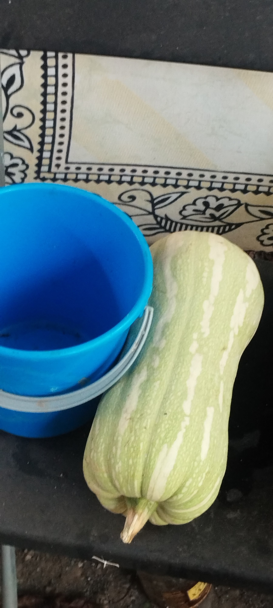 An overhead shot shows a blue bucket and a light green striped squash resting on a dark surface. The bucket is to the left, partially filled with shadows. The squash is to the right, with its stem facing downwards. Behind the objects, a patterned cloth is visible, featuring a border of black and beige geometric shapes and floral designs. The setting appears to be outdoors, with a dark, rough surface in the foreground, possibly a table or a ground. The overall lighting suggests it is daytime. There are no people or animals present in the image.