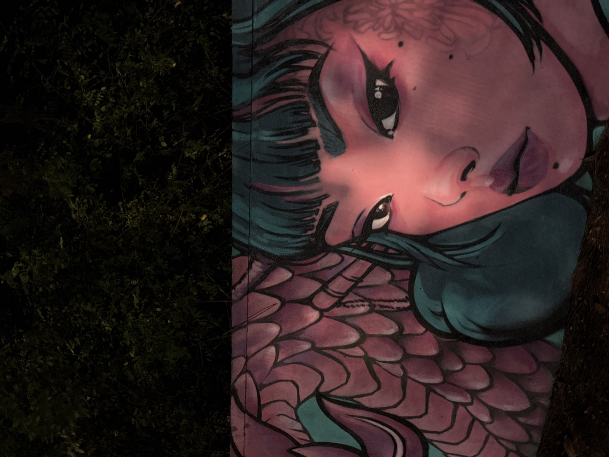 The image shows a mural in Đà Nẵng, Vietnam. The mural depicts a woman with a light pink face and dark hair. She is looking down. The mural also includes a pattern of pink and purple scales, possibly representing a dragon or mythical creature. The mural is located next to a dark, leafy area with some light shining through, indicating it might be a park or a garden.