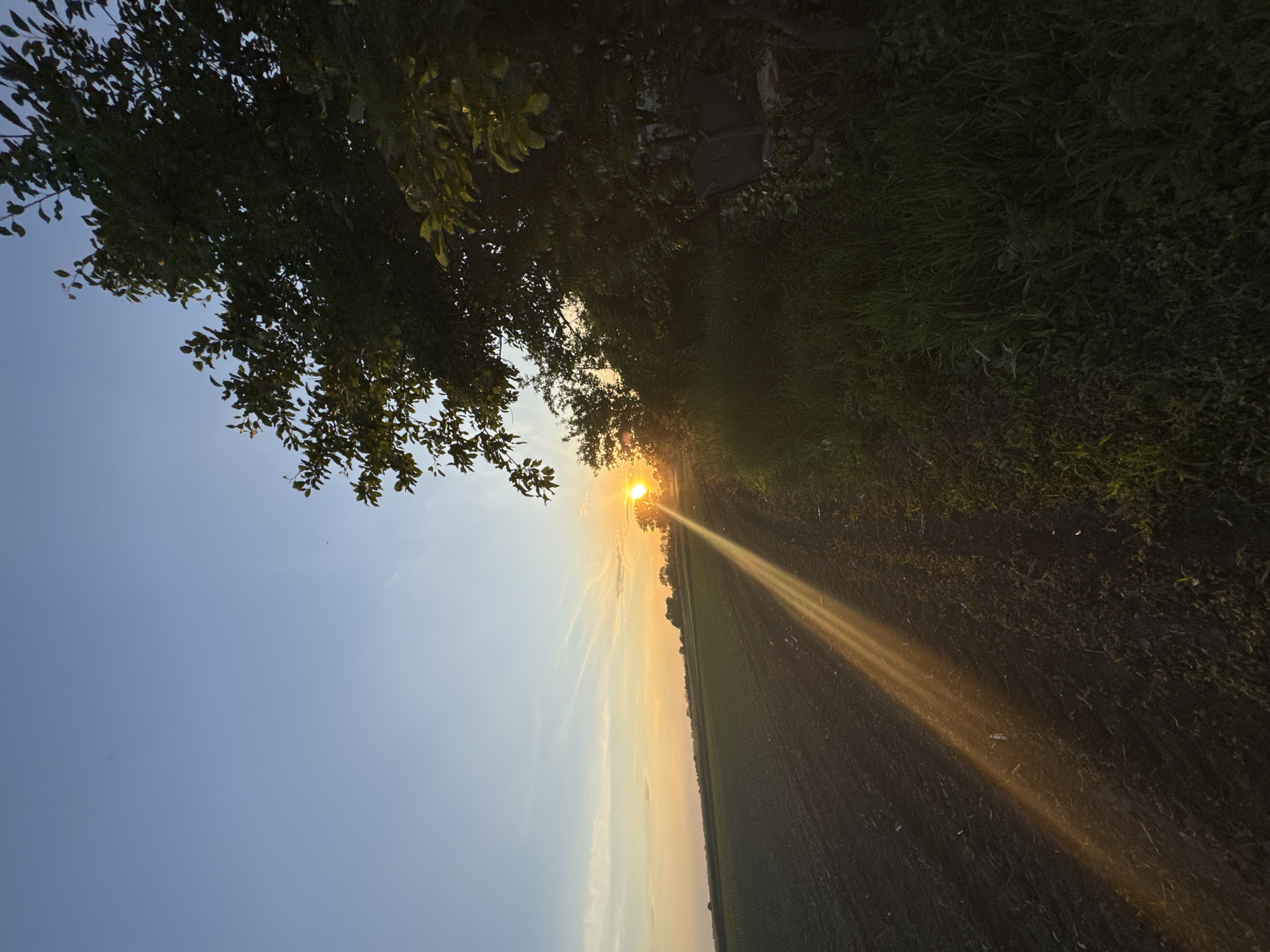 The image depicts a rural landscape at sunset in Ohuivka, Ukraine. The horizon divides a clear sky, which transitions from light blue at the top to vibrant orange and yellow near the setting sun on the right. Wispy clouds are present in the warmer sky tones. A large, dark agricultural field, appearing to be recently tilled or planted, occupies the left side of the frame, extending towards a distant tree line. A sunbeam emanates from the bright, partially obscured sun on the far right, casting a diagonal golden light across the field and a dirt path. This path runs from the foreground towards the horizon, separating the field from a dense line of dark green trees and bushes that dominate the right side of the image. Deep within the shadowed undergrowth on the right, two dark, indistinct objects, possibly chairs or furniture, are visible and partially overgrown. The scene is devoid of human figures.
