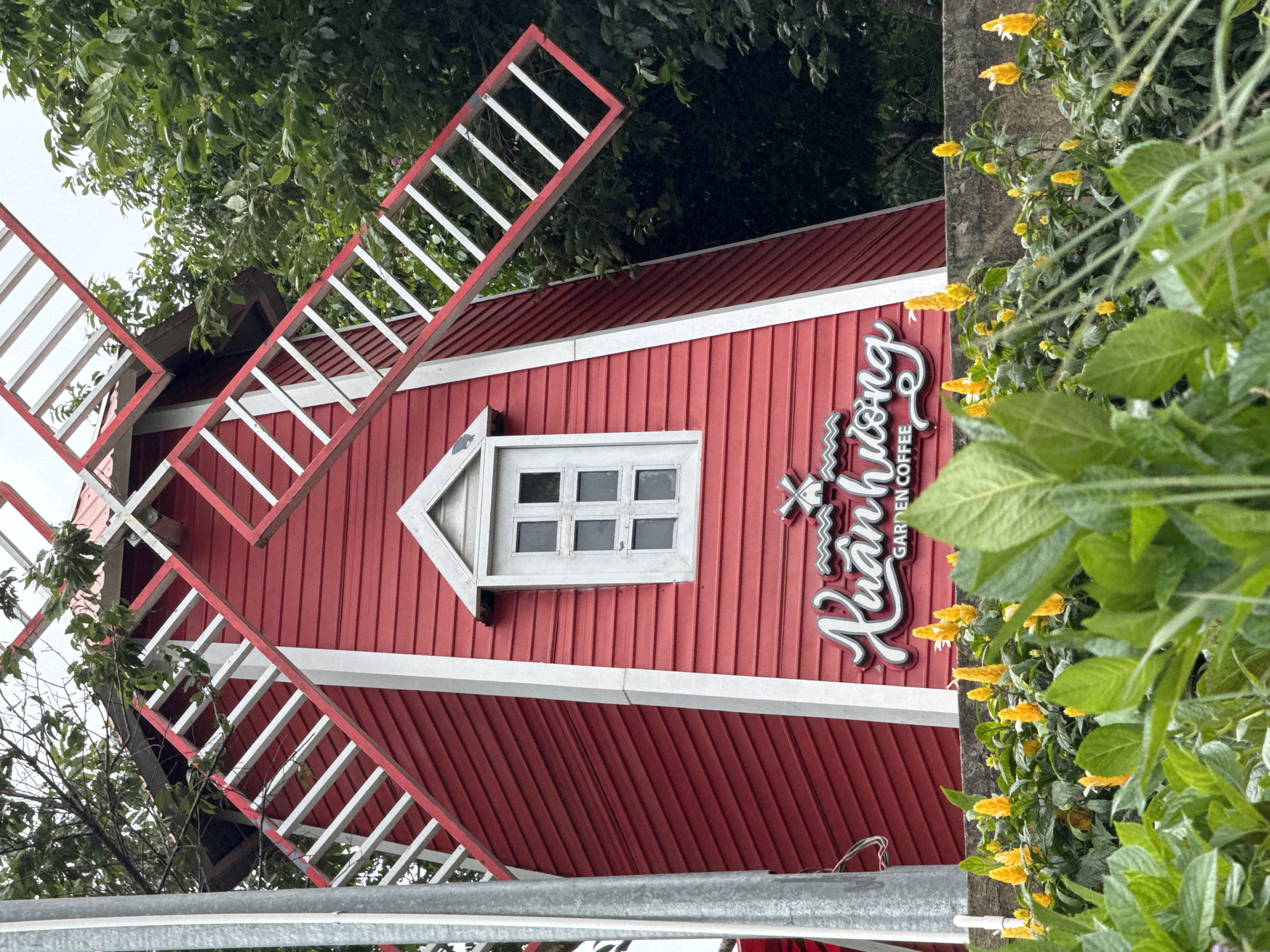 The image depicts a whimsical, red, wooden windmill-style building situated outdoors. The windmill has white trim and four angled white and red sails, some of which are partially obscured by lush green trees. A white-framed, multi-paned window is centered on the front of the structure. Below the window, a white sign with stylized script reads "Xuân Hương" above smaller text that says "GARDEN COFFEE." In the foreground, a low concrete wall is topped with a vibrant display of yellow flowers, possibly Pachystachys lutea, and green foliage. The setting appears to be a garden or park, likely a cafe given the sign. The overall impression is of a charming and picturesque location, possibly in or around Da Lat, Vietnam, known for its French colonial architecture and abundant greenery. No people are visible in the image.