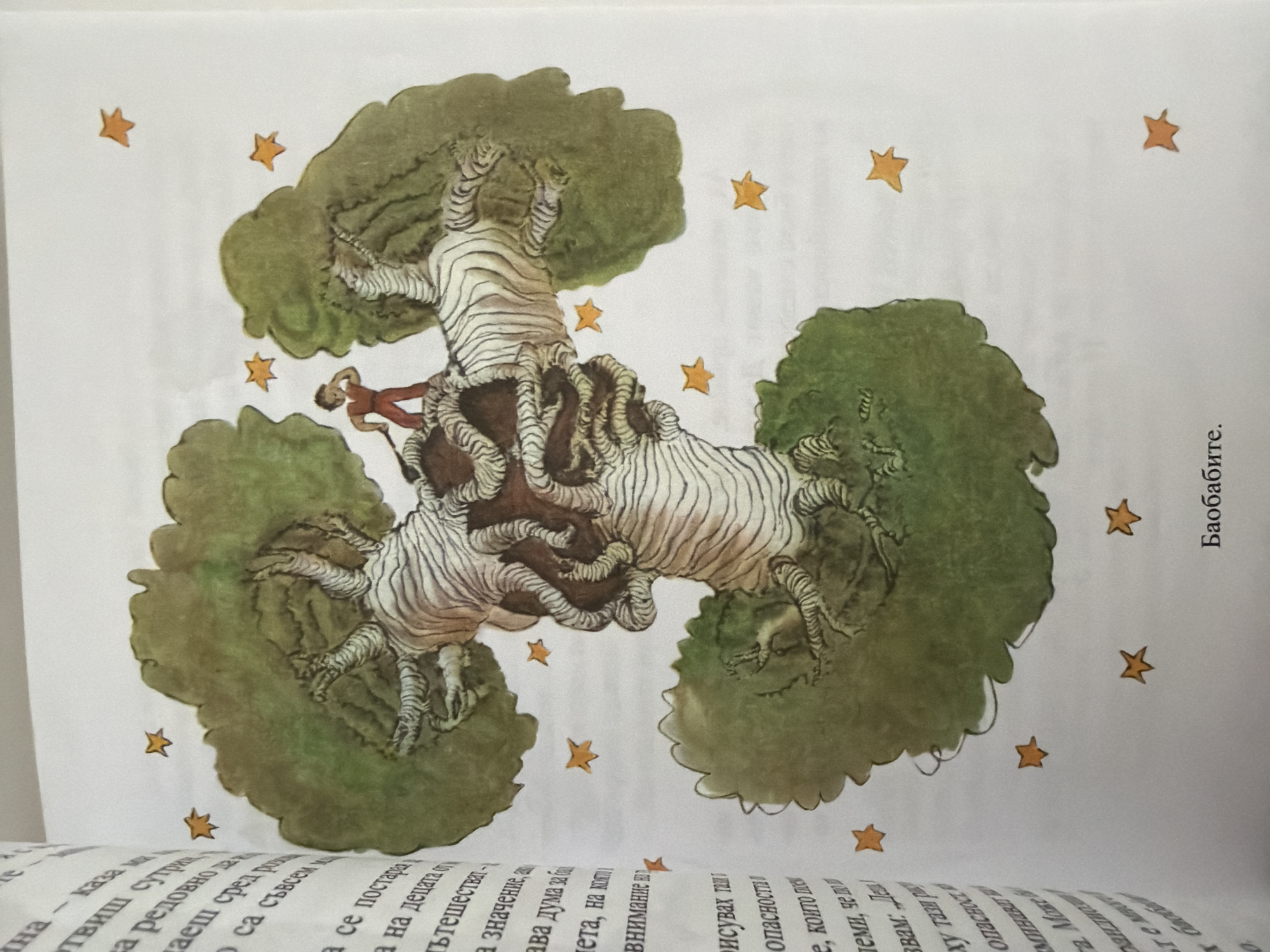 The image shows an open book with an illustration on the right page and text on the left page. The illustration is a watercolor painting of a stylized baobab tree with a small figure of a boy holding a shovel standing on its branches. The tree has a thick, striated trunk and spreading green foliage. Scattered around the tree are several orange stars. The text on the left page is in Bulgarian and appears to be from a story. The bottom of the right page contains the Bulgarian title "Баобабите." The image does not contain any elements that would allow for the determination of its location in Pazardzhik, Bulgaria.