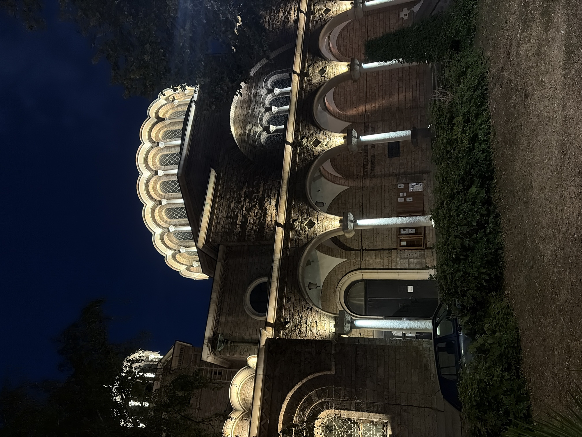 The image shows the exterior of the Alexander Nevsky Cathedral in Sofia, Bulgaria, at night. The cathedral is illuminated, highlighting its stone facade, arches, and domes. Trees are visible in the foreground and to the sides, with dark foliage contrasting against the lit building. A dark-colored car is parked in front of the cathedral, partially obscured by bushes. The sky is a deep blue, indicating nighttime.