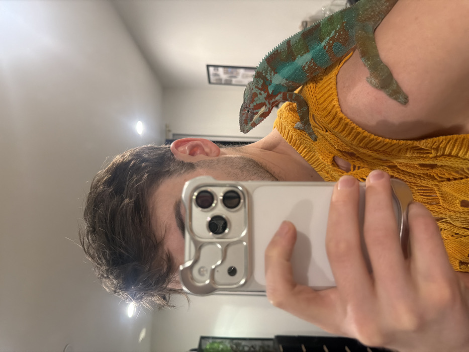 A person, viewed in a mirror, holds a phone up to take a selfie. The person has short brown hair, a beard, and is wearing a yellow sweater. A chameleon sits on the person's shoulder. The chameleon is a mix of blue, green, and red colors. The phone is white with three camera lenses. The background is a plain wall.