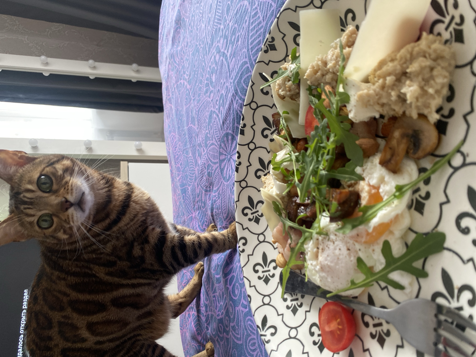 A Bengal cat is positioned next to a plate of food. The plate contains a salad with arugula, a sliced tomato, a fried egg, mushrooms, and slices of cheese on top of a textured bread or biscuit. The tablecloth under the plate has a blue and purple floral pattern. The scene is illuminated by natural light, casting shadows on the background. The cat appears to be reaching toward the plate of food. The location is Chaikovsky, Russia.