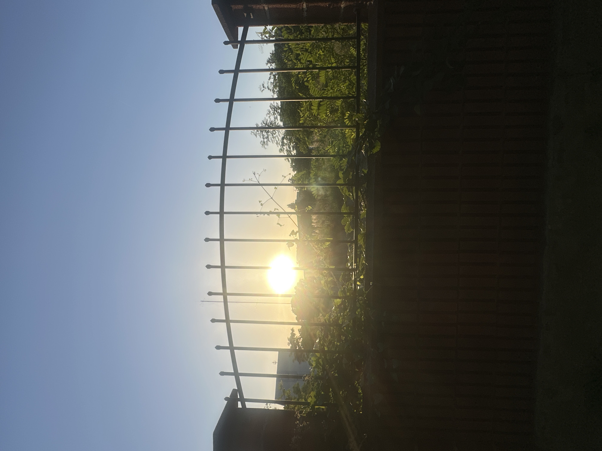 The image shows a view through a metal fence at sunset. The sun is low in the sky, casting a warm glow and creating lens flare. Lush green foliage is visible behind the fence, with trees and plants silhouetted against the bright sky. The fence itself is made of dark metal bars with pointed finials. To the right of the fence, there is a textured surface that appears to be a brick wall. The sky is a clear, pale blue, transitioning to a softer yellow and orange hue near the horizon where the sun is setting. The overall scene evokes a peaceful and serene atmosphere, likely from a vantage point overlooking a garden or natural landscape at the end of the day. There is no visible text in the image.
