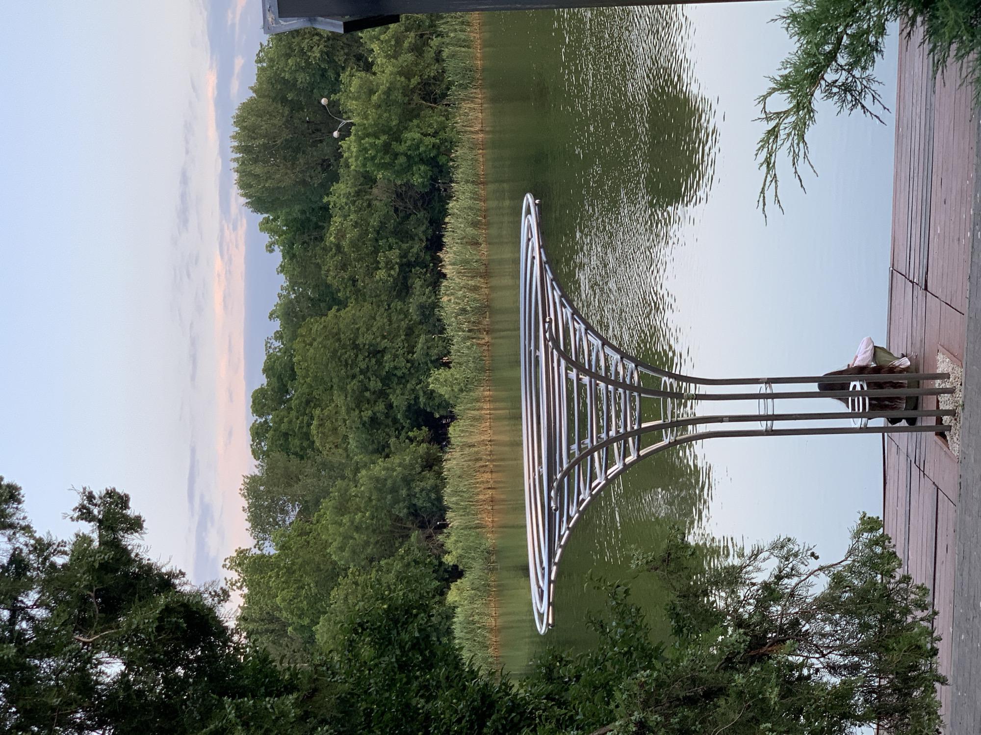 A full shot shows a person sitting on a wooden dock next to a lake. The person is viewed from behind, with long dark hair. They are seated under a unique, modern, metallic structure with a wide, circular top supported by curved legs. The lake is calm with ripples on the surface and reflects the surrounding green trees. A line of tall reeds runs along the far bank of the lake. The sky above is a soft pastel blend of blue and pink, with a few wispy clouds. Trees, including a large one in the foreground on the left, frame the scene. The overall impression is one of a tranquil, natural setting, likely in a park or recreational area within a city, given the presence of a lamp post visible above the trees.