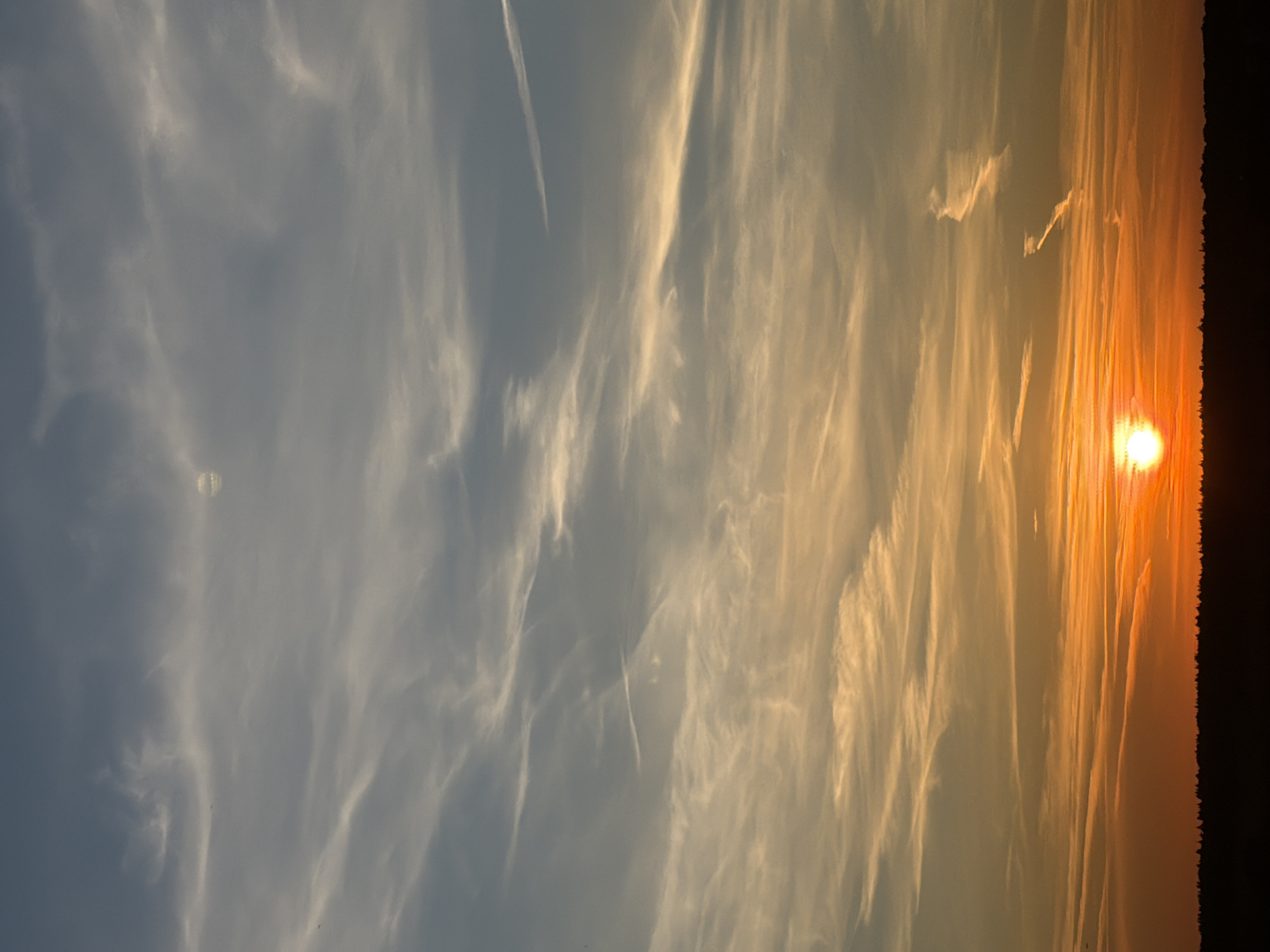 The image captures a vibrant sunset over an indistinct landscape. The scene is dominated by a vast sky, showcasing a dramatic gradient of colors. On the left side, the sky is a soft blue-grey, transitioning smoothly into warm oranges, yellows, and reds towards the right, where the sun is setting.
Numerous wispy, elongated clouds stretch across the sky, catching the light and appearing in varying shades of white, cream, and orange. These clouds form long streaks and patterns, especially prominent in the illuminated sections near the sun. A few faint contrails are also visible against the cooler, blue-grey portion of the sky.
The sun itself is a brilliant, intense orange-yellow orb, positioned low on the right side of the horizon. Its brightness creates a glowing halo effect. A dark, silhouetted horizon line, likely representing distant trees or land, runs along the bottom edge of the image, providing a stark contrast to the bright sky.
No people, specific man-made objects, or visible text are present in the image. The event taking place is a natural sunset, highlighting the beauty and tranquility of the evening sky. The overall impression is one of natural grandeur and a peaceful end to the day.