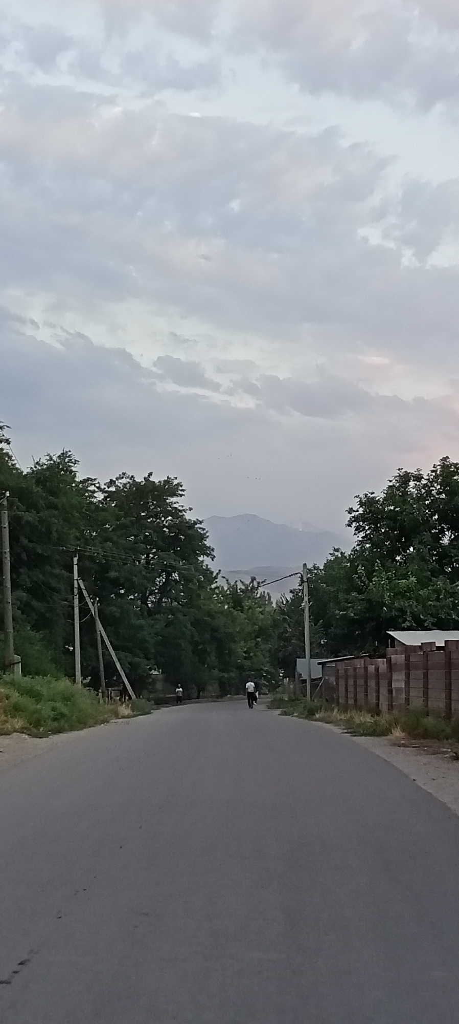 A paved road in Sokuluk, Kyrgyzstan, stretches into the distance under a cloudy sky. Lush green trees line the left side of the road, bordering a grassy embankment. On the right, a wooden fence with vertical slats separates the road from a property. Two utility poles with visible wires are present on the left side of the road. In the mid-ground, two individuals are walking on the road. One person, further away and slightly to the left, is a smaller figure. The other, closer and to the right, is a person in a white shirt and dark pants walking away from the camera. In the background, distant mountains are visible through the haze.